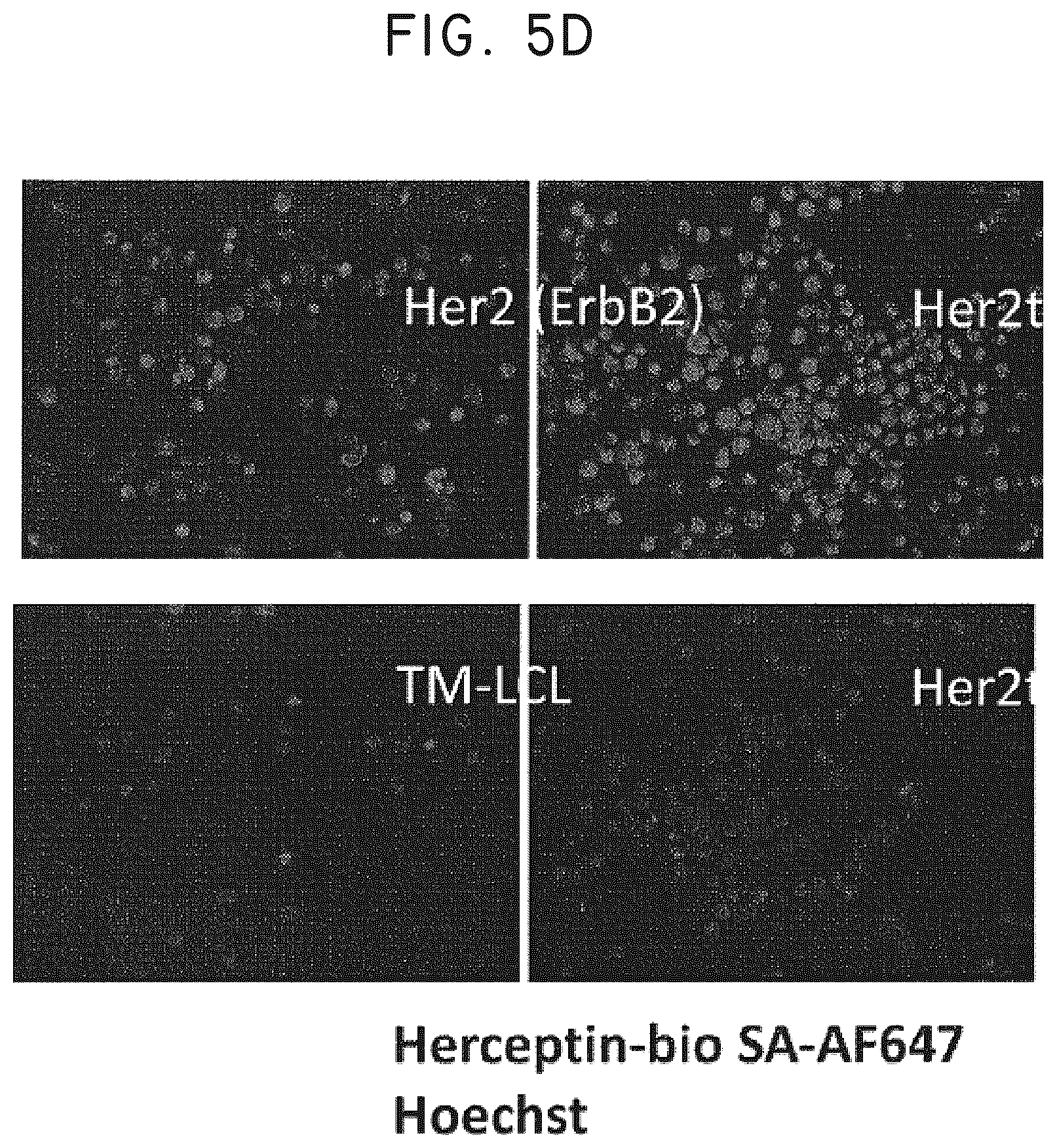 Patent US12448445 Figure 18 – Transgene genetic tags and methods of use