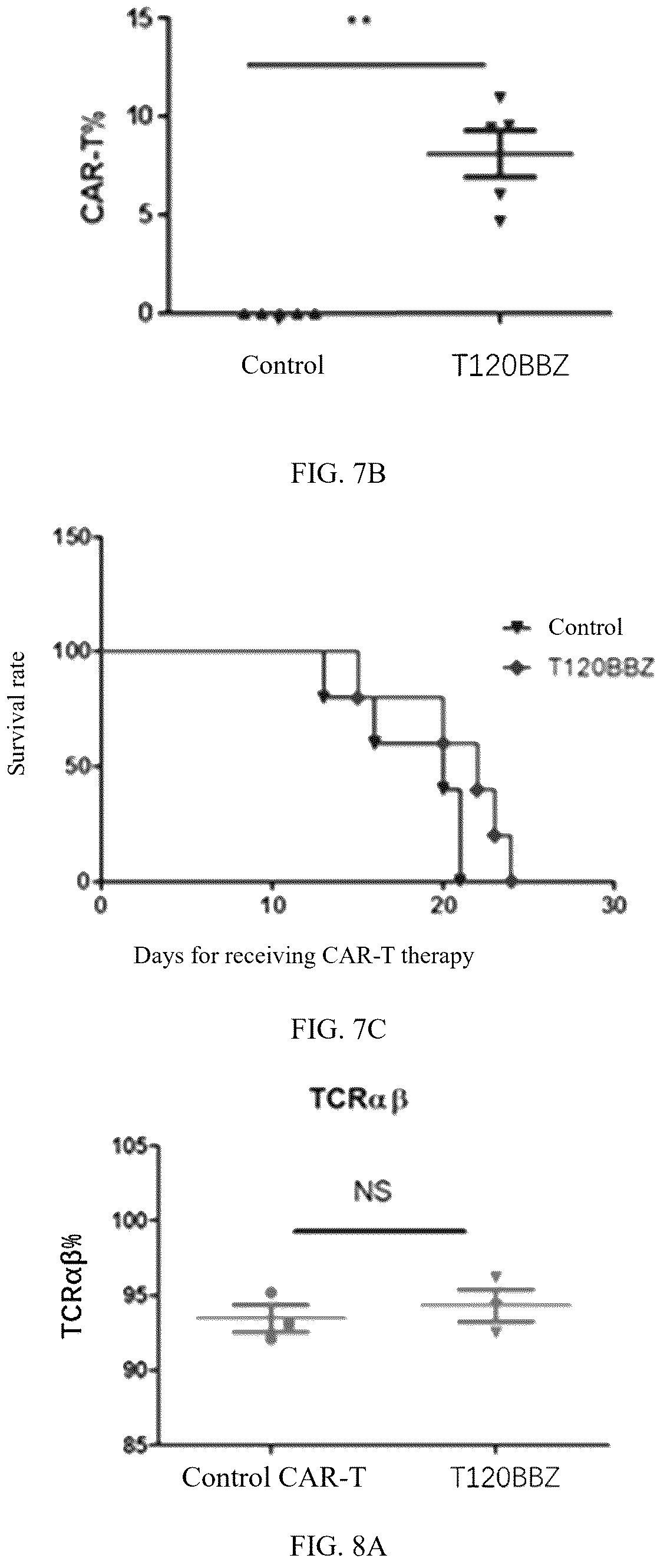 Patent US12448446 Figure 4 – Chimeric antigen receptor and use thereof