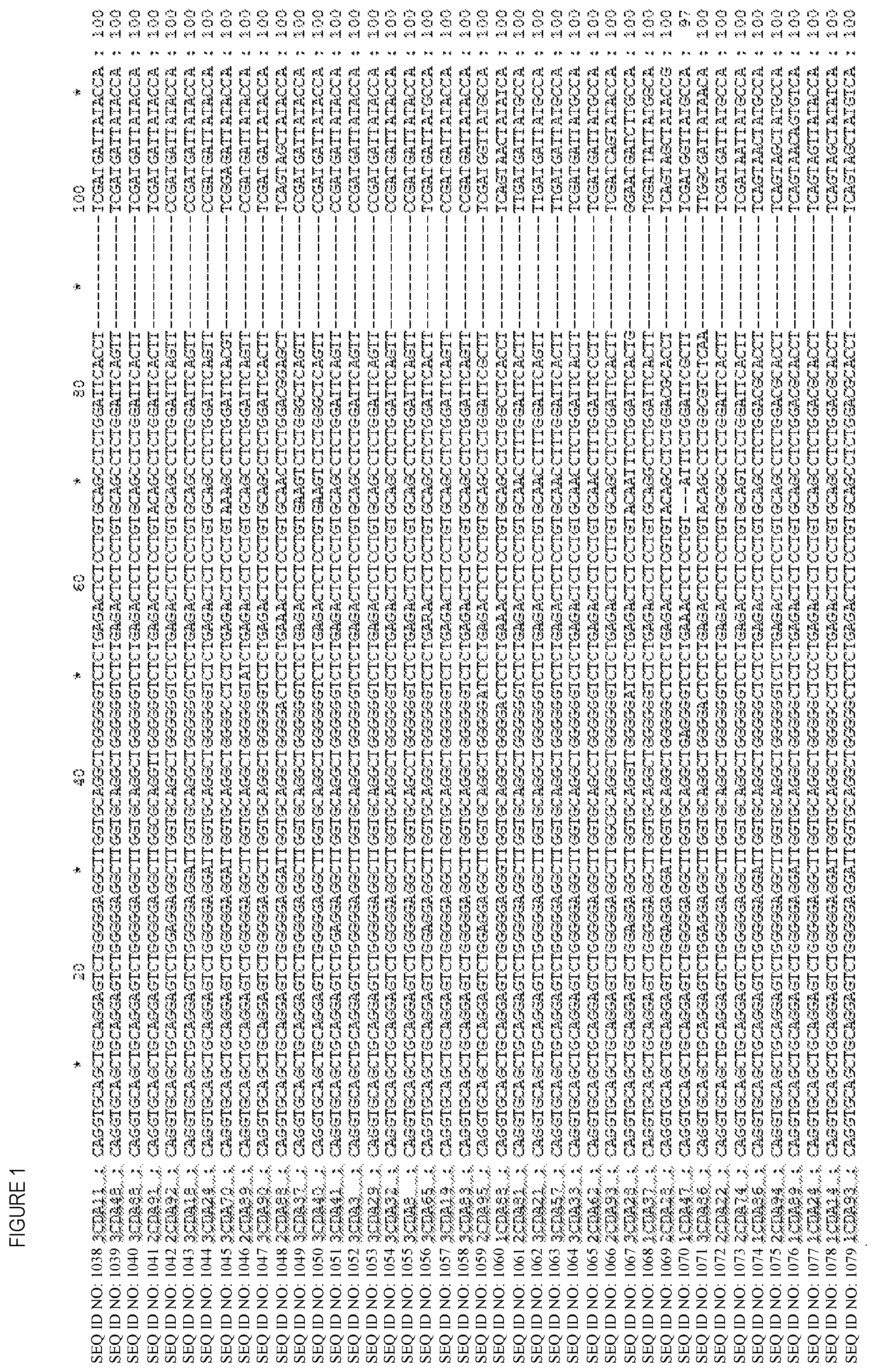 Patent US12448447 — CD8 binding agents — Figure 1