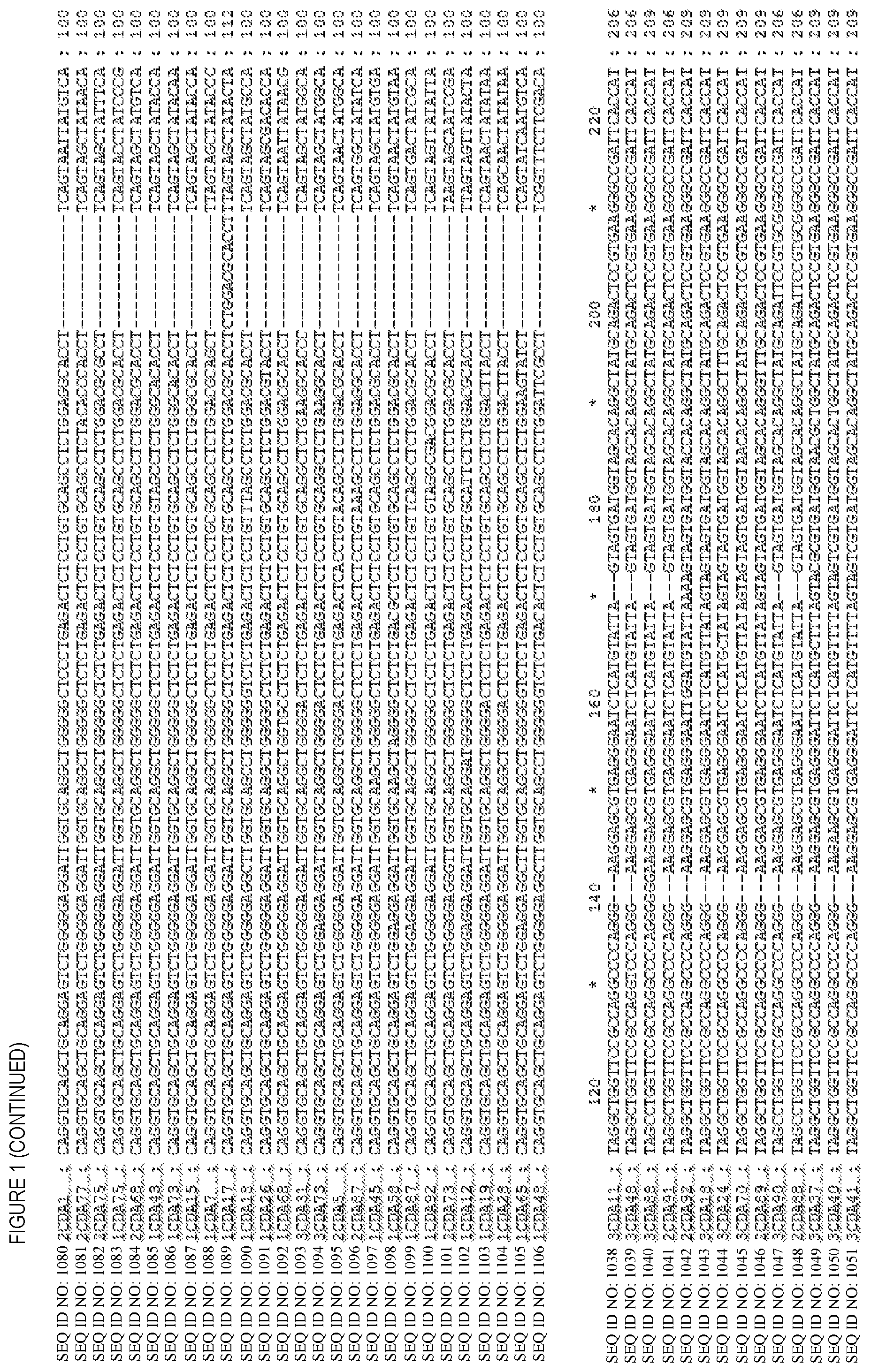 Patent US12448447 Figure 2 – CD8 binding agents