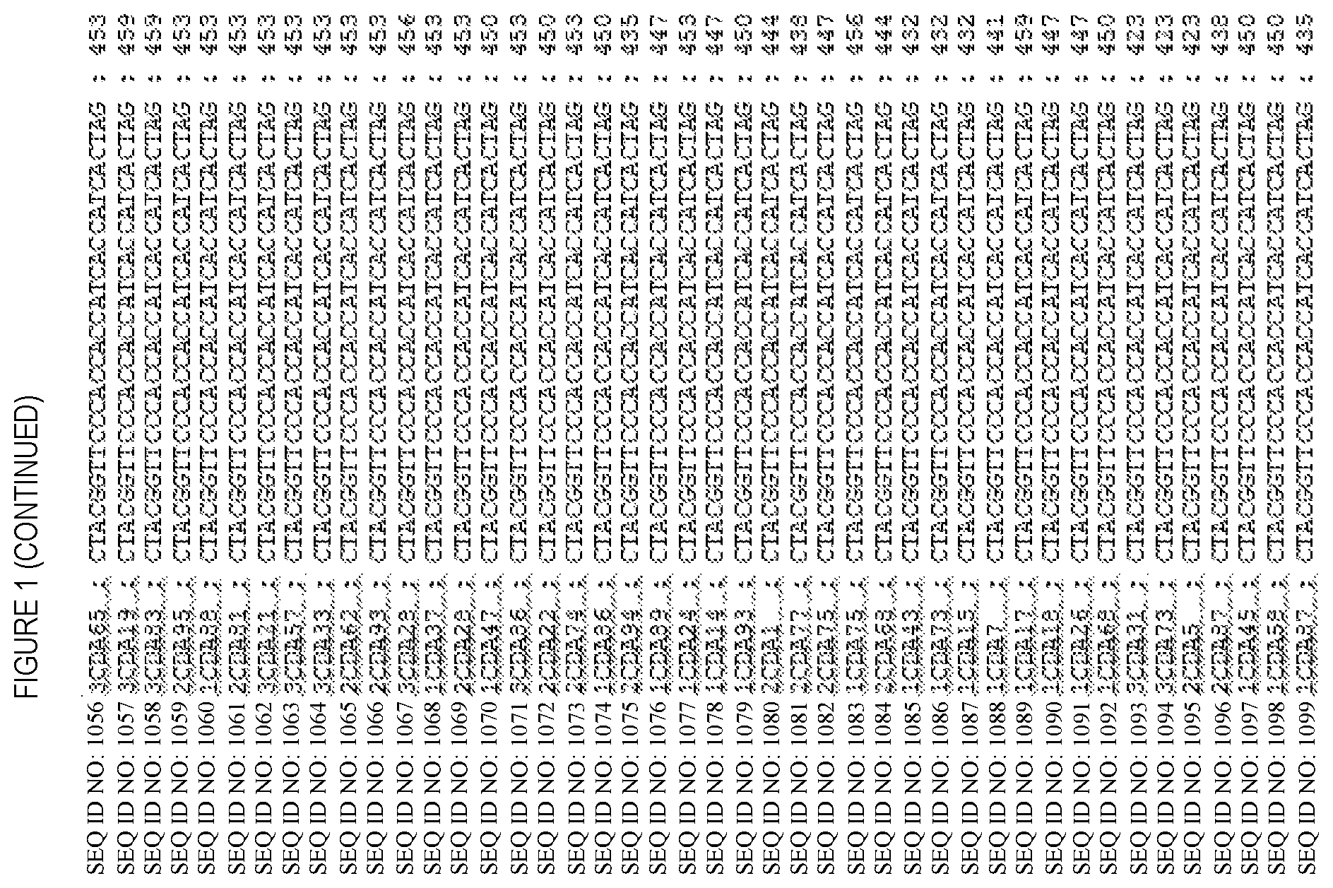 Patent US12448447 Figure 8 – CD8 binding agents