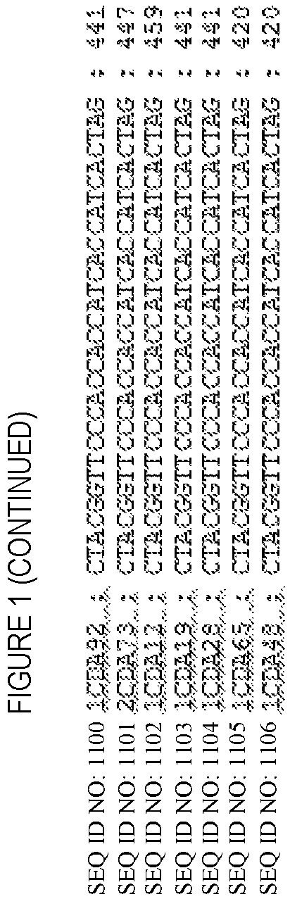 Patent US12448447 Figure 9 – CD8 binding agents