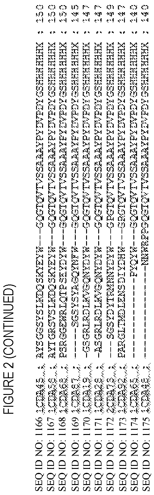 Patent US12448447 Figure 13 – CD8 binding agents