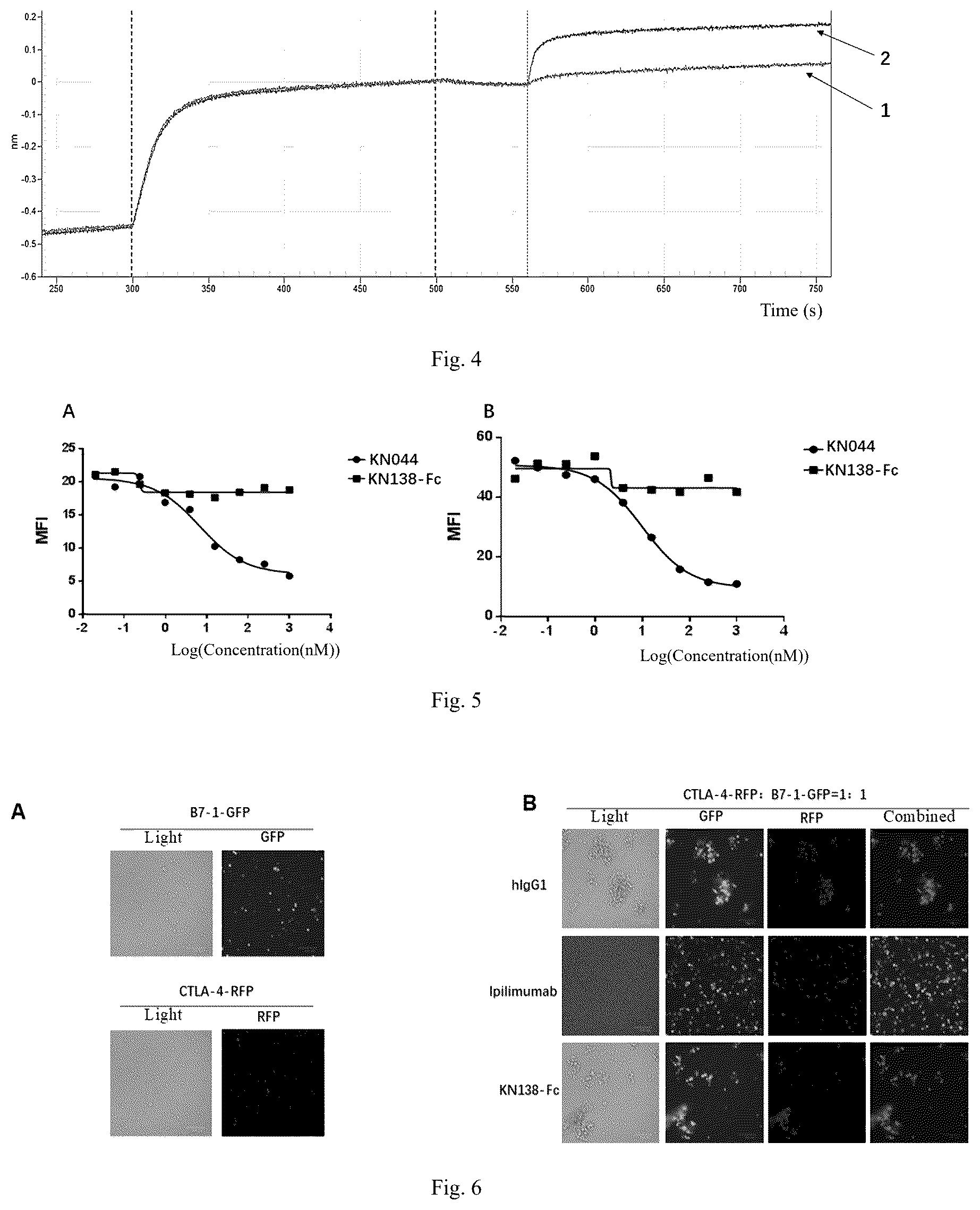 Patent US12448450 Figure 2 – Method for treating tumor using anti-CTLA4 single-domain antibodies