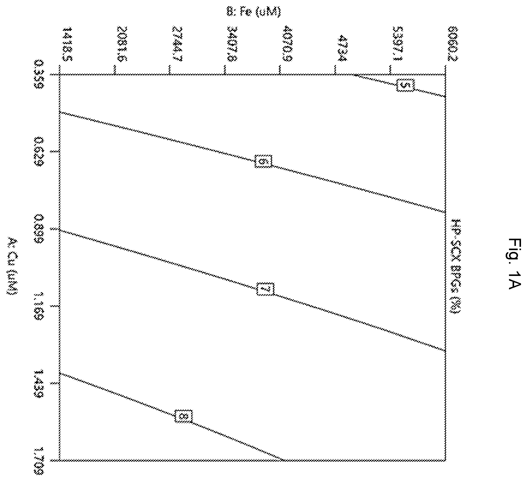 Patent US12448456 Figure 1 – Method for producing spesolimab