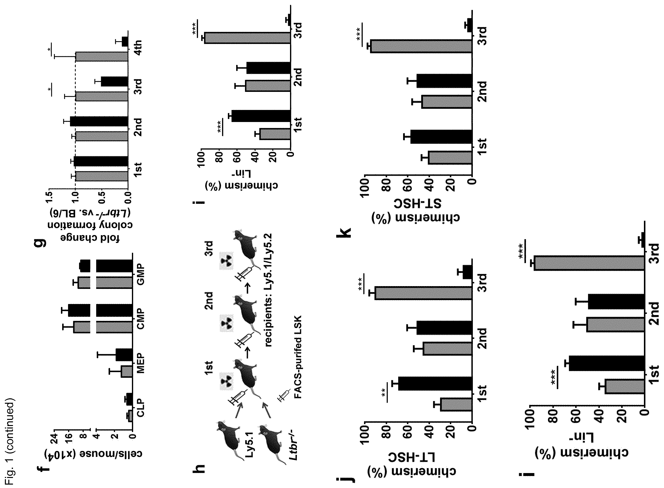 Patent US12448458 Figure 2 – Ligands to light or its receptor LTßR for use in haematologic malignancies