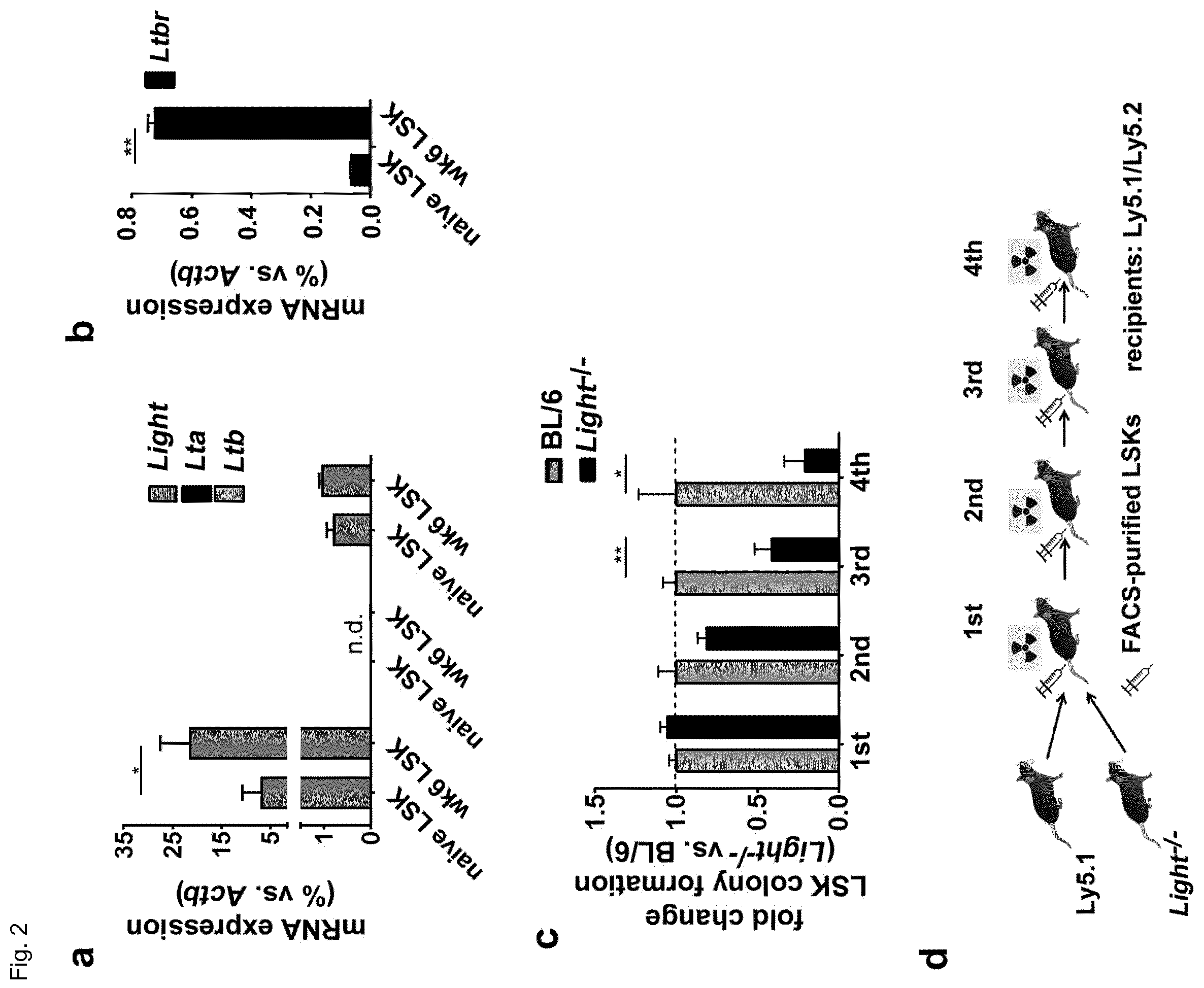 Patent US12448458 Figure 4 – Ligands to light or its receptor LTßR for use in haematologic malignancies