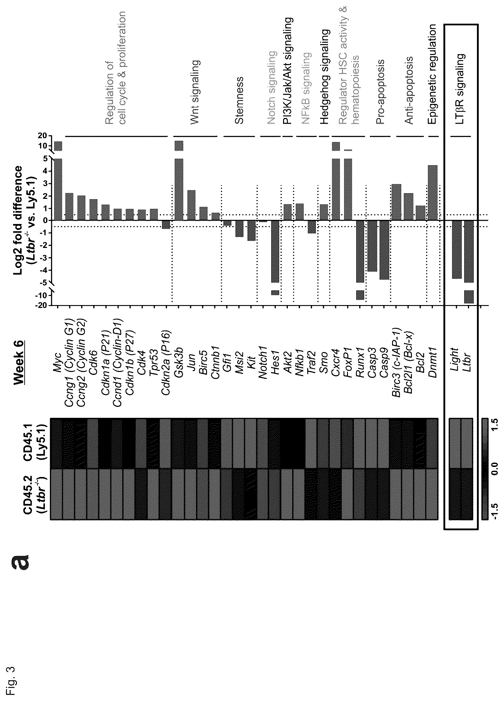 Patent US12448458 Figure 7 – Ligands to light or its receptor LTßR for use in haematologic malignancies