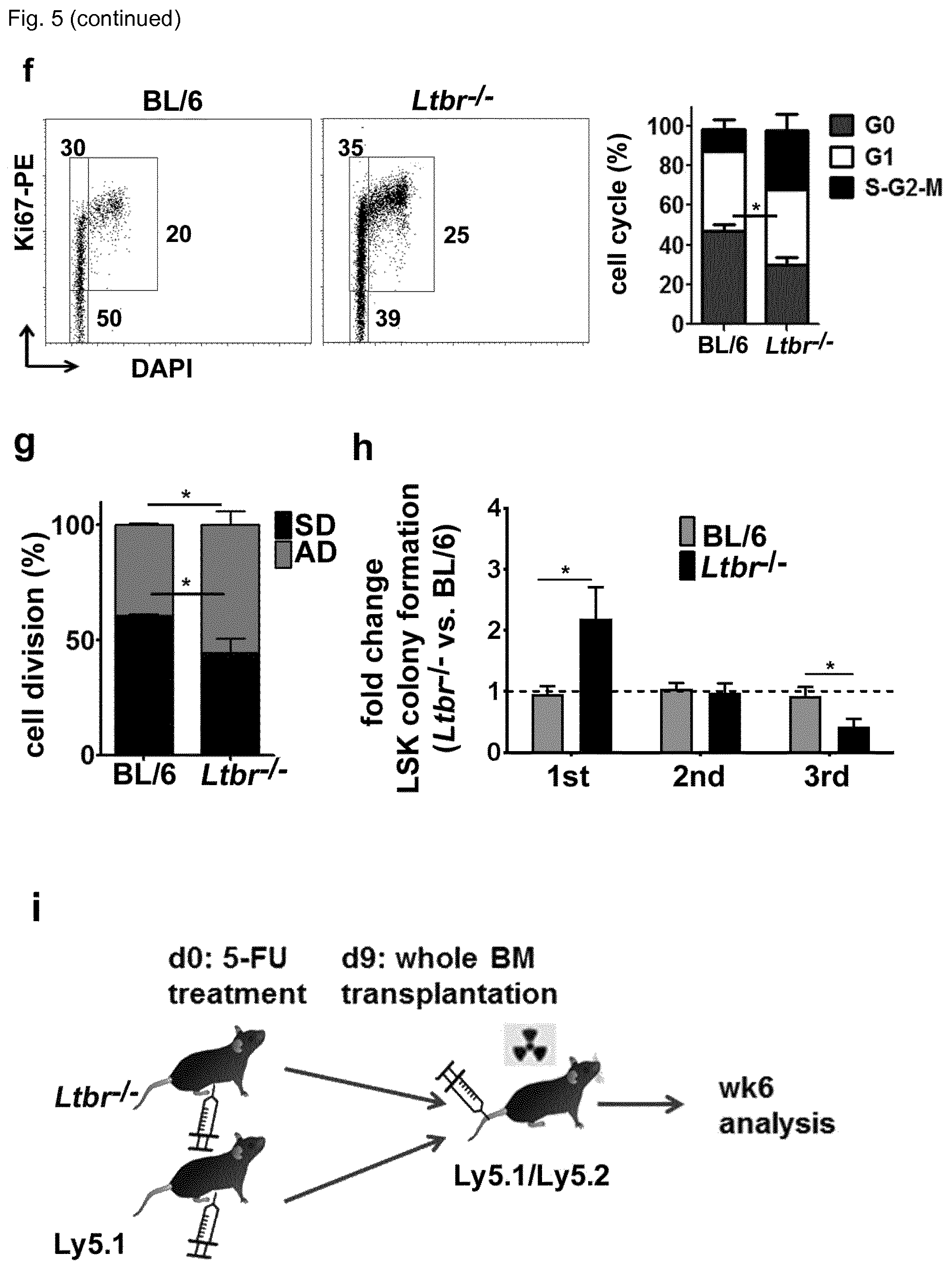 Patent US12448458 Figure 13 – Ligands to light or its receptor LTßR for use in haematologic malignancies