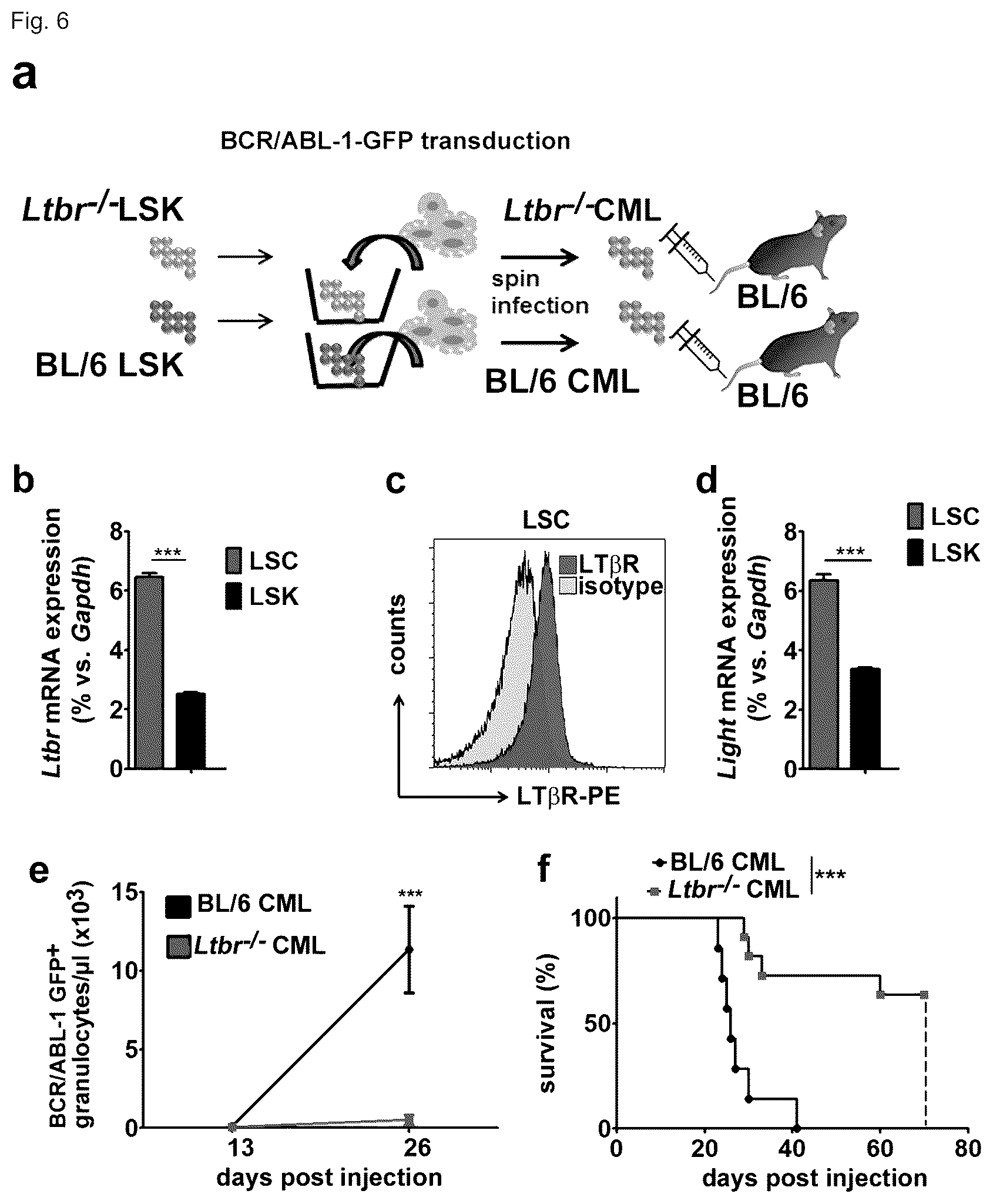Patent US12448458 Figure 15 – Ligands to light or its receptor LTßR for use in haematologic malignancies