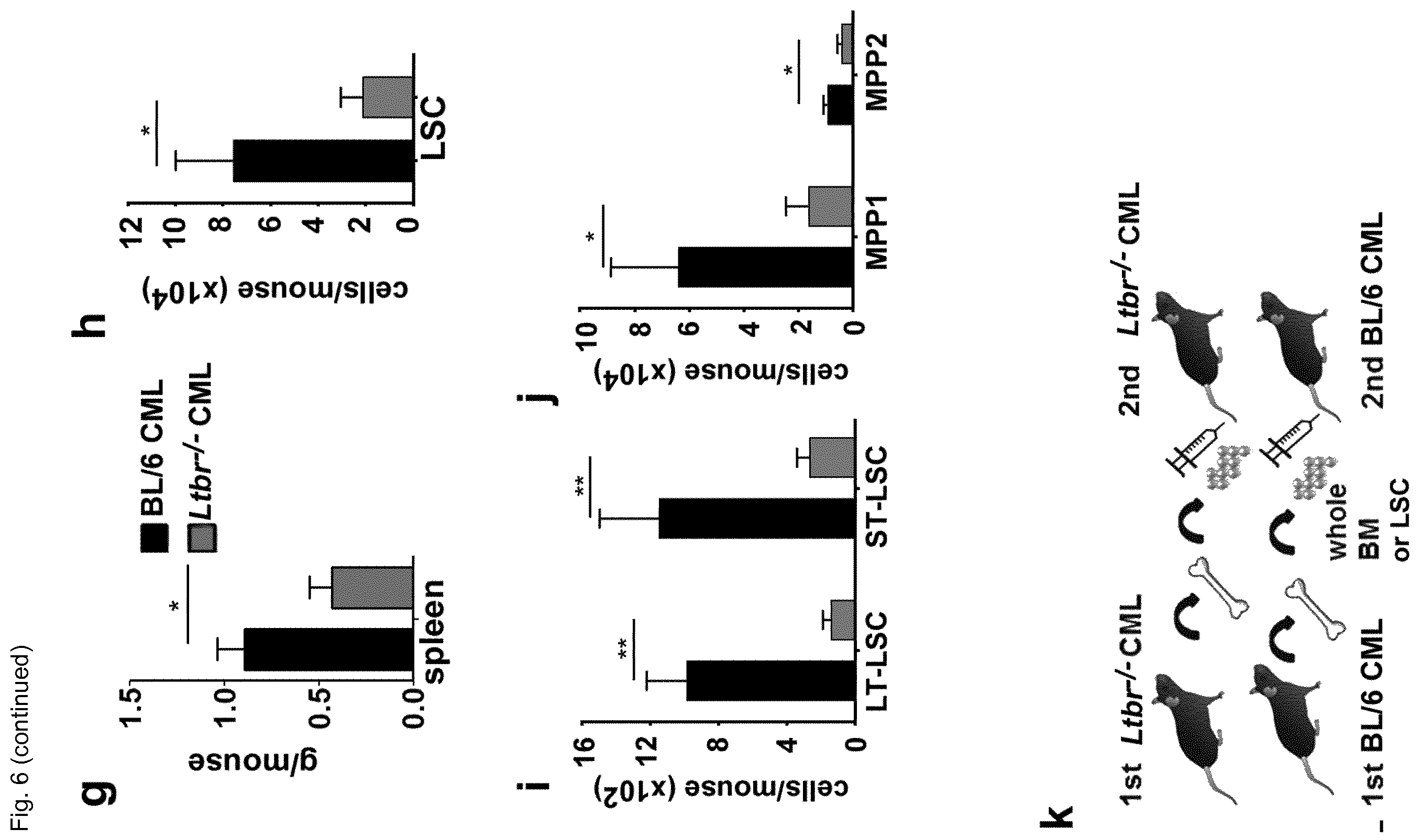Patent US12448458 Figure 16 – Ligands to light or its receptor LTßR for use in haematologic malignancies