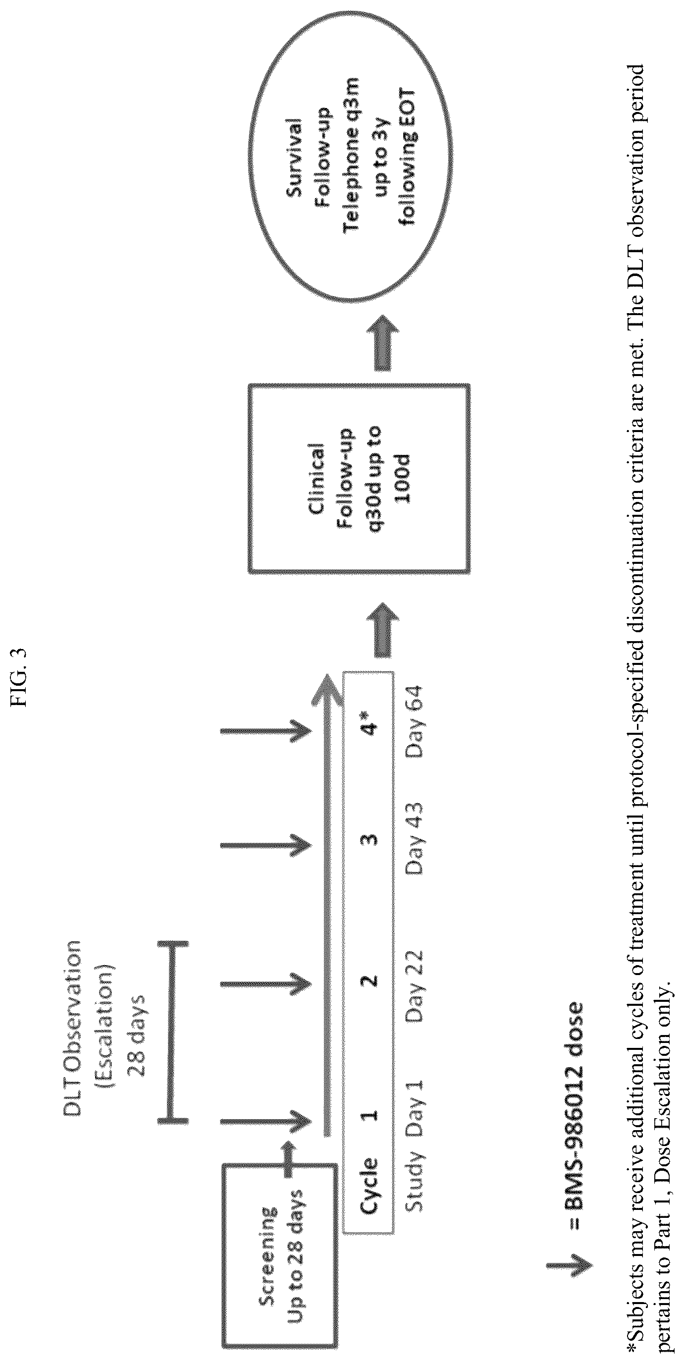 Patent US12448460 Figure 4 – Treatment of lung cancer using an anti-fucosyl-GM1 antibody