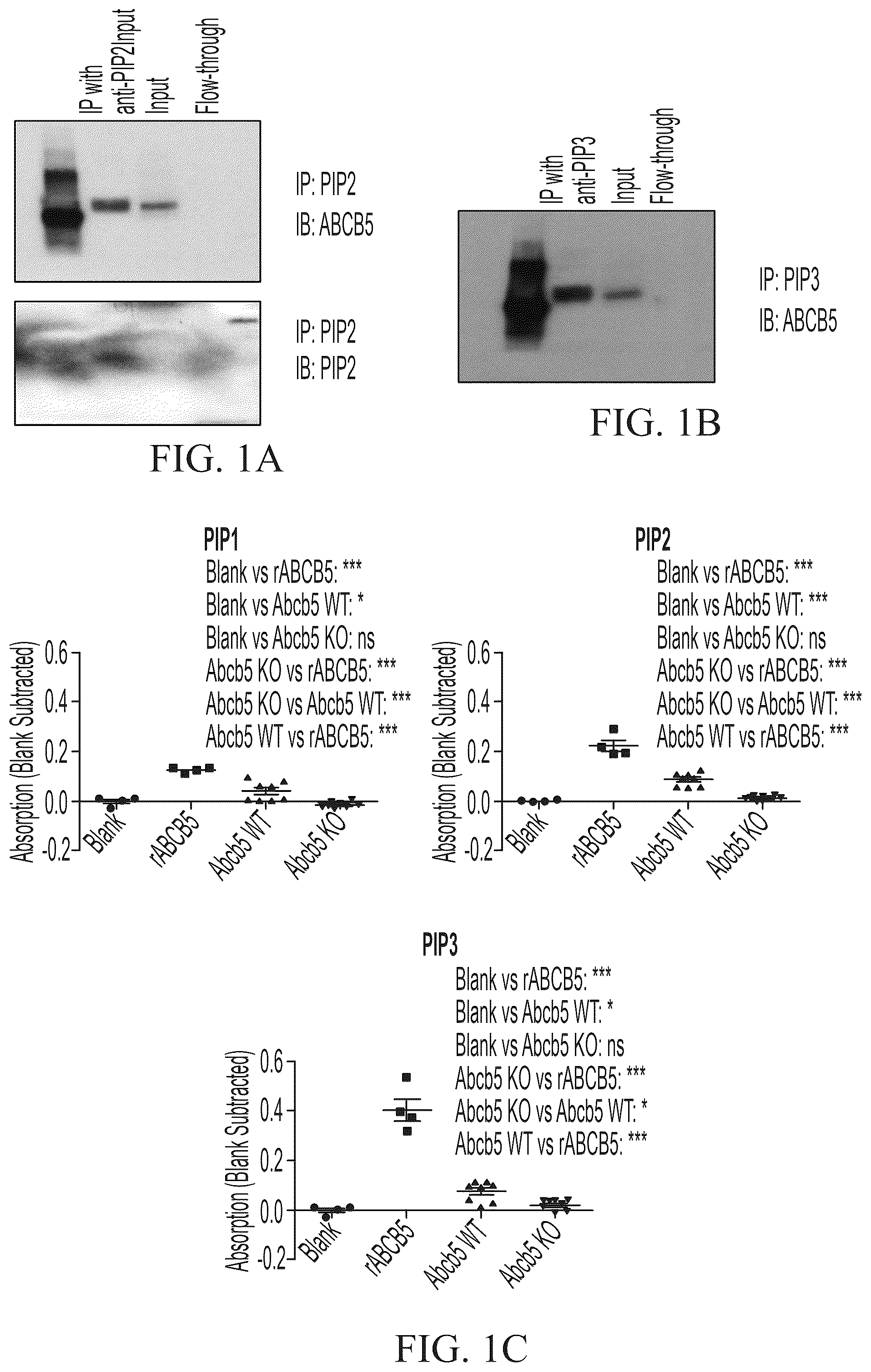 Patent US12448461 Figure 1 – ABCB5 ligands and substrates