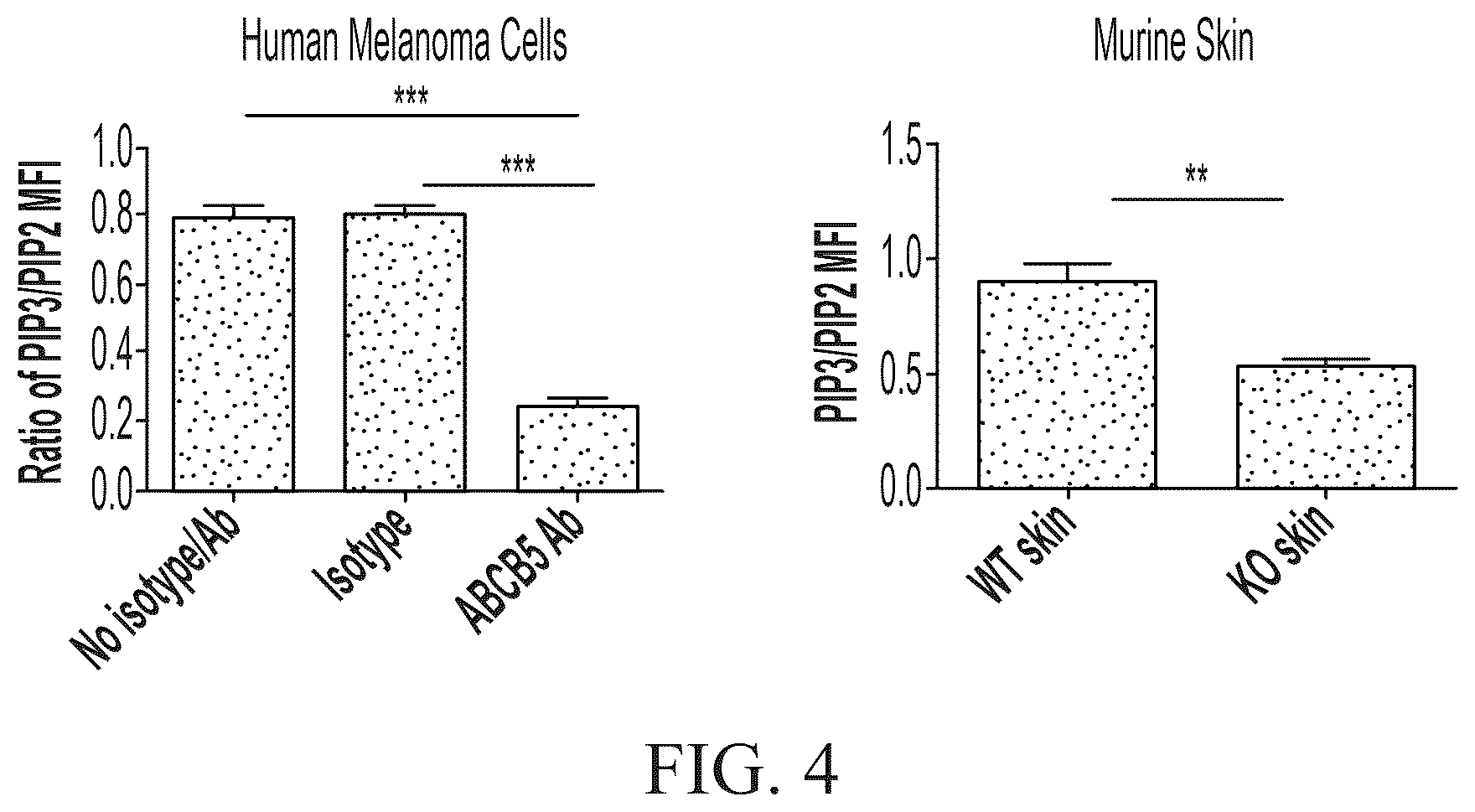 Patent US12448461 Figure 6 – ABCB5 ligands and substrates
