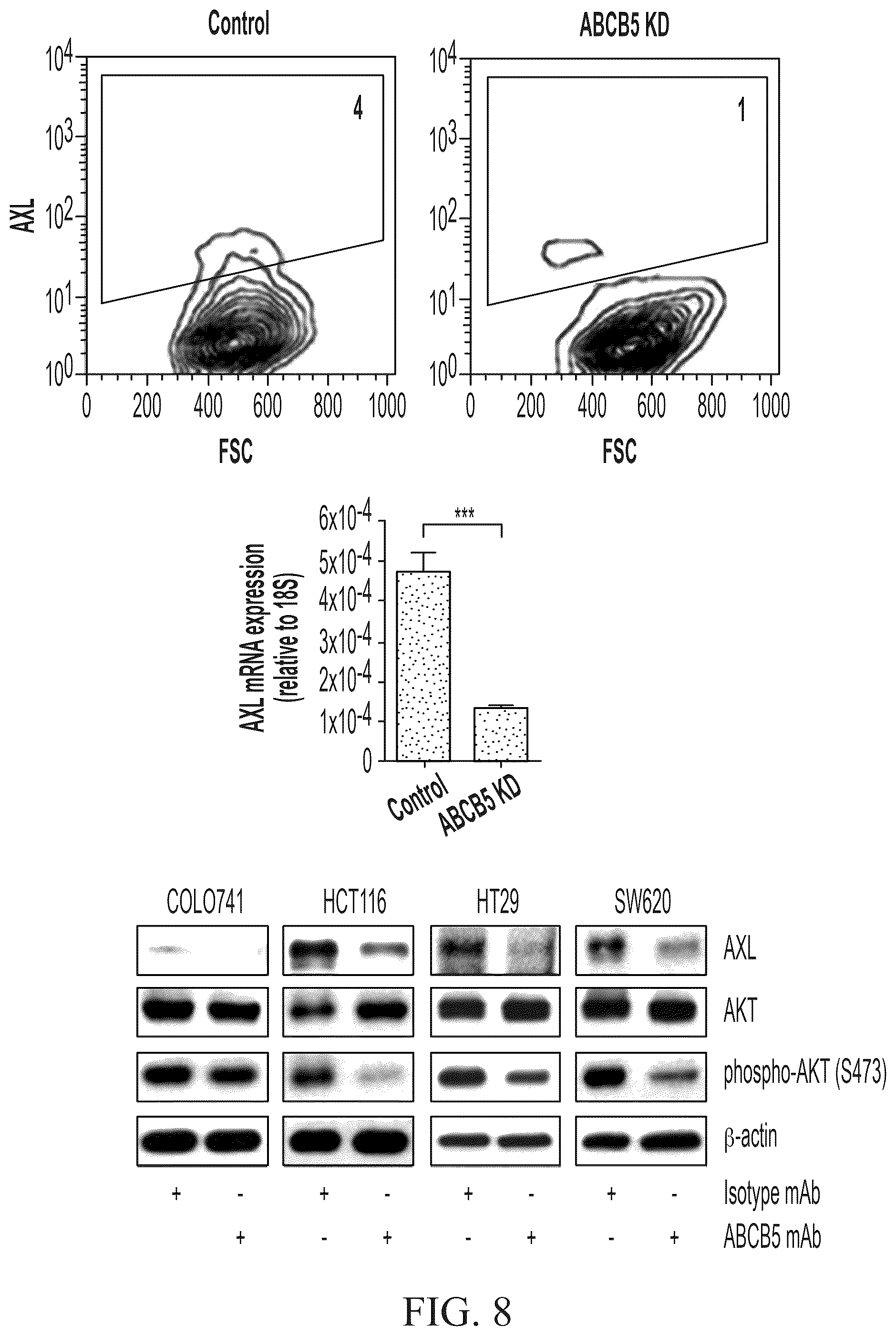 Patent US12448461 Figure 10 – ABCB5 ligands and substrates