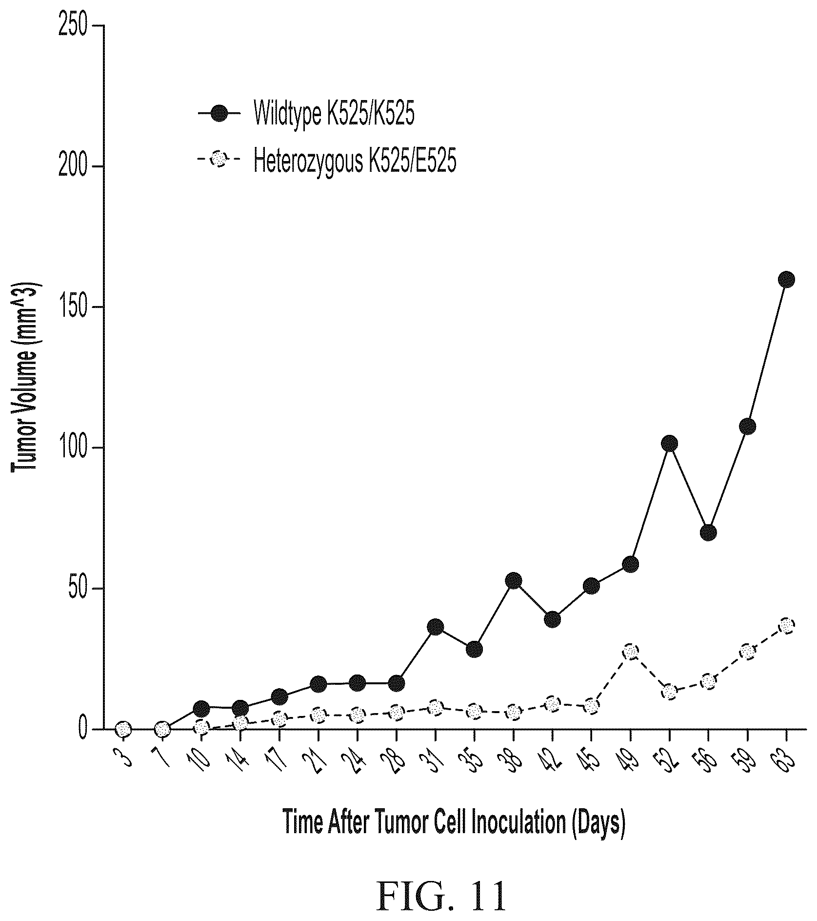 Patent US12448461 Figure 13 – ABCB5 ligands and substrates