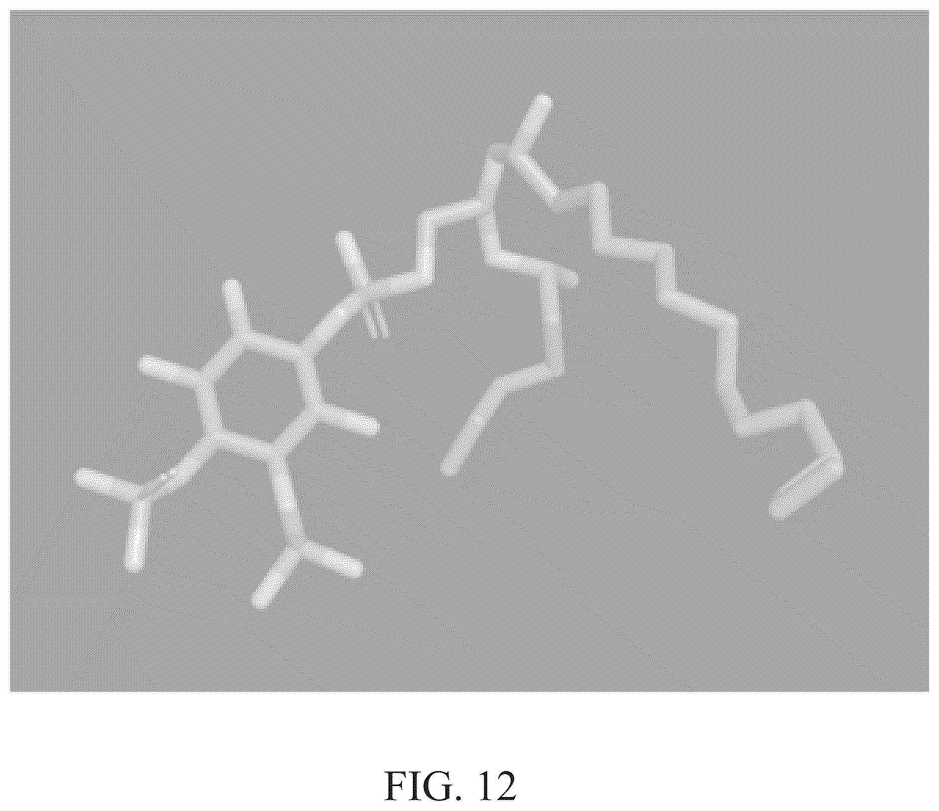 Patent US12448461 Figure 14 – ABCB5 ligands and substrates