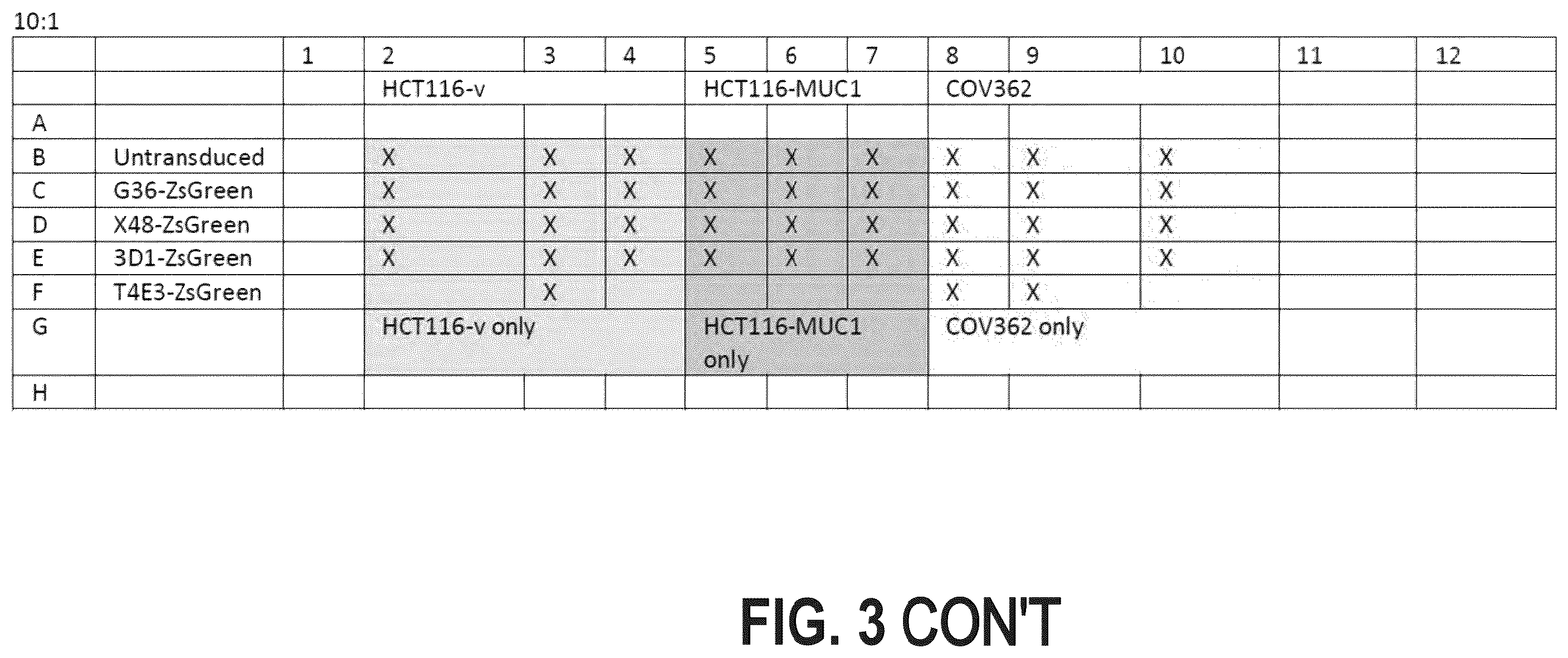 Patent US12448462 Figure 4 – Antibodies against MUC1