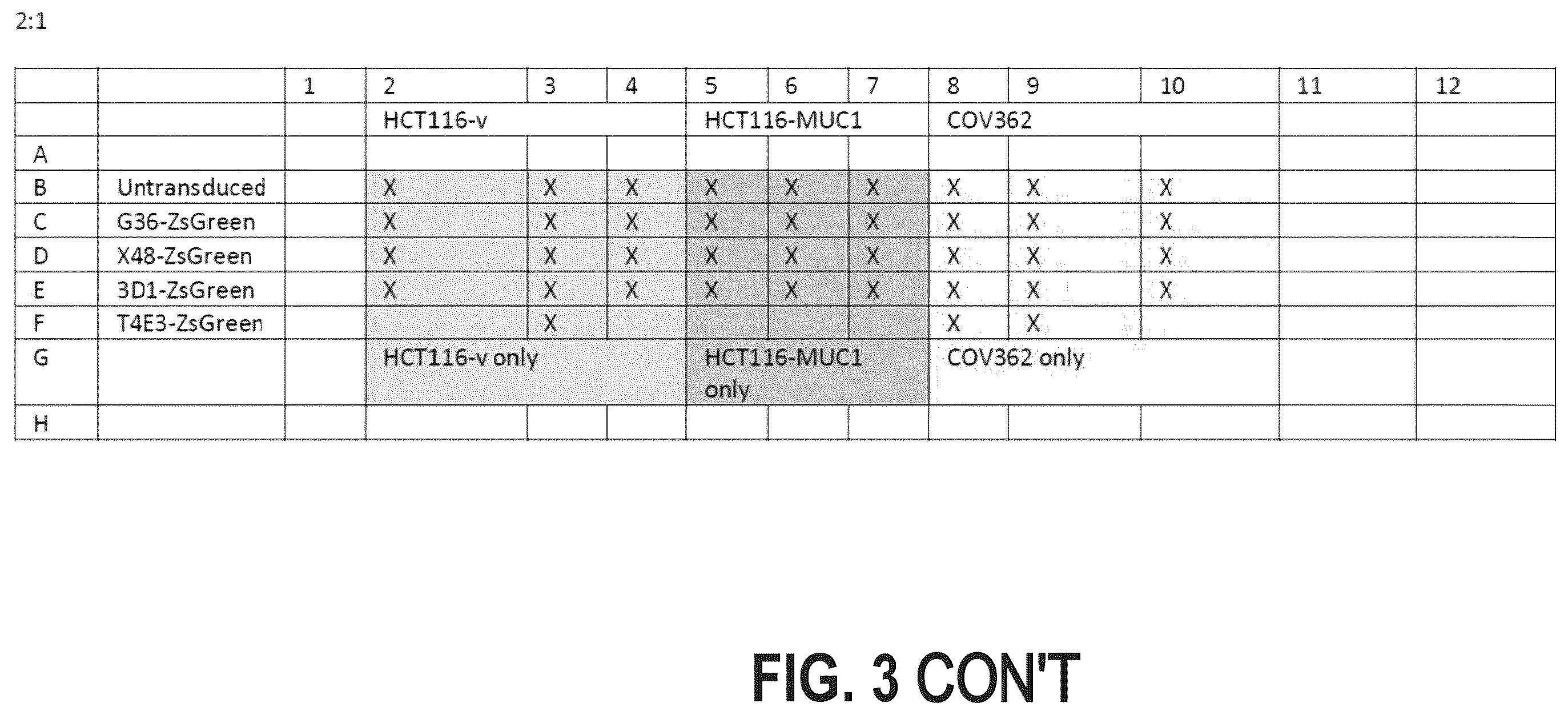 Patent US12448462 Figure 5 – Antibodies against MUC1
