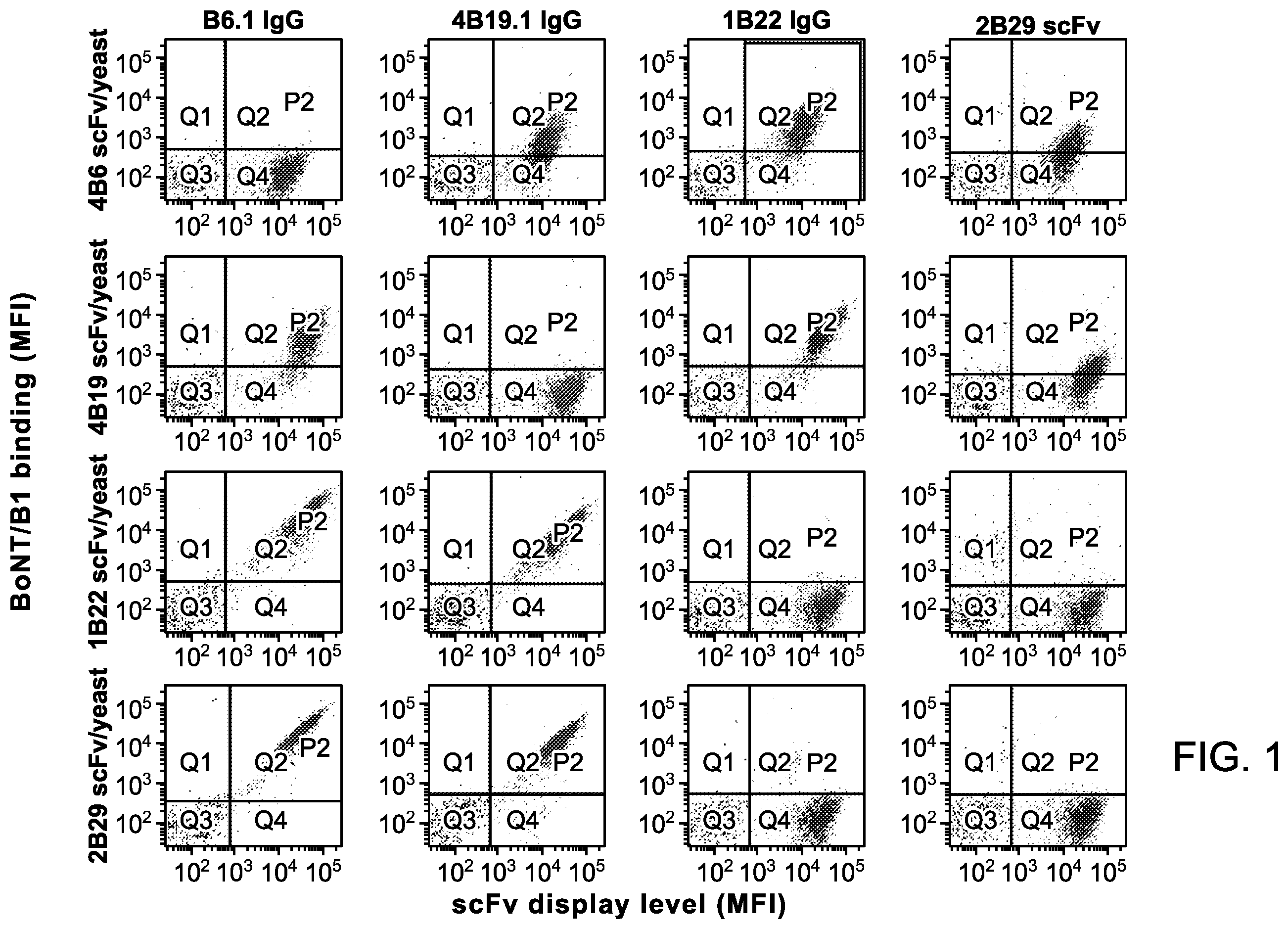Patent US12448463 Figure 1 – Antibodies for botulinum neurotoxins