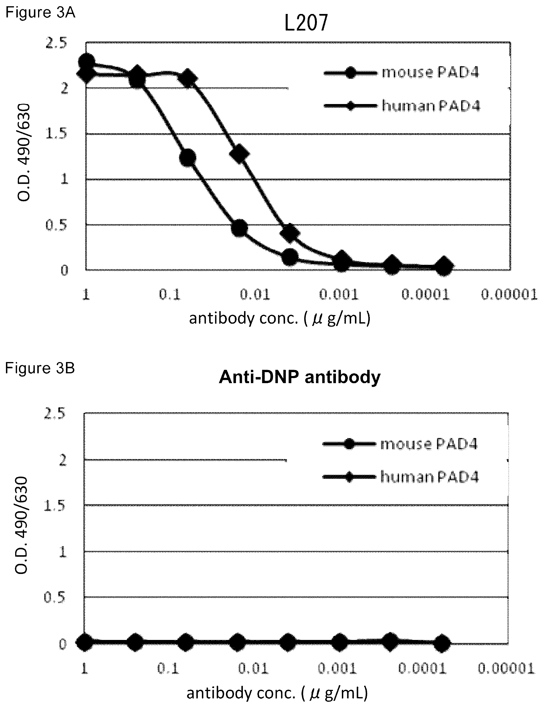 Patent US12448464 Figure 3 – Anti-PAD4 antibody