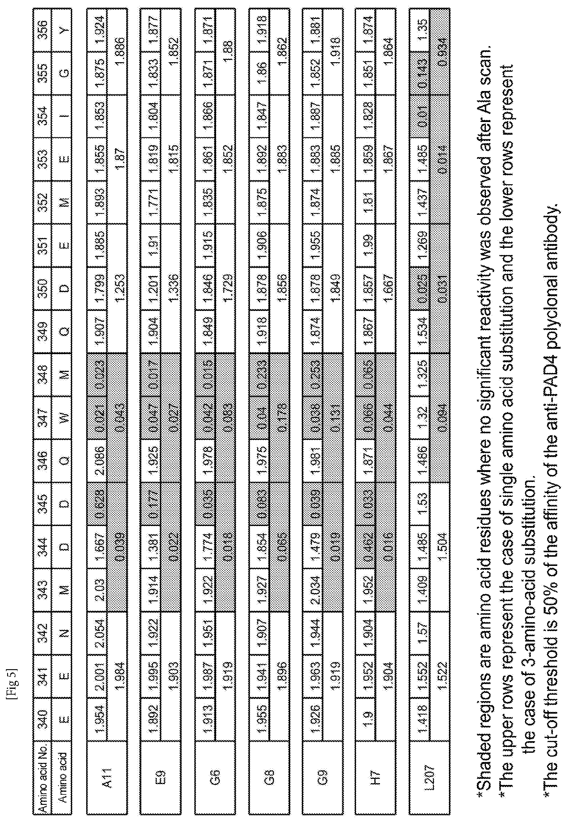 Patent US12448464 Figure 5 – Anti-PAD4 antibody