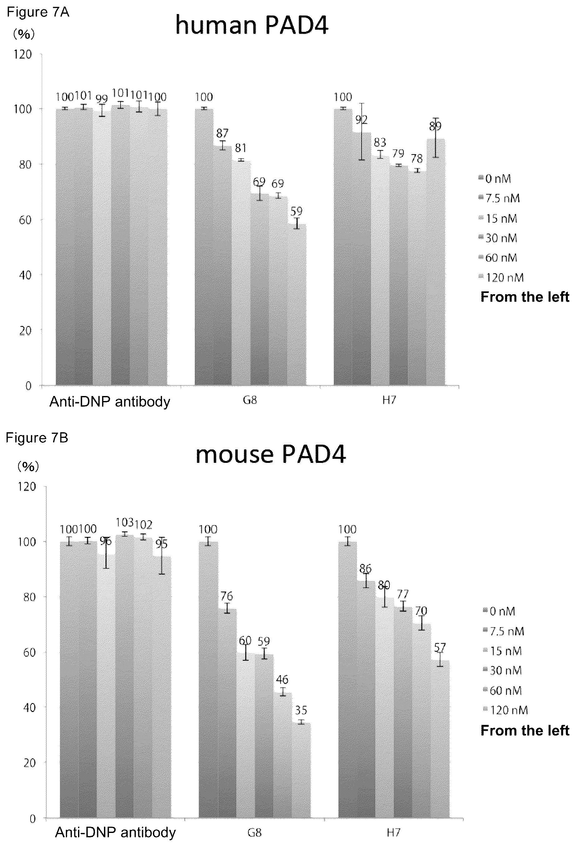 Patent US12448464 Figure 7 – Anti-PAD4 antibody