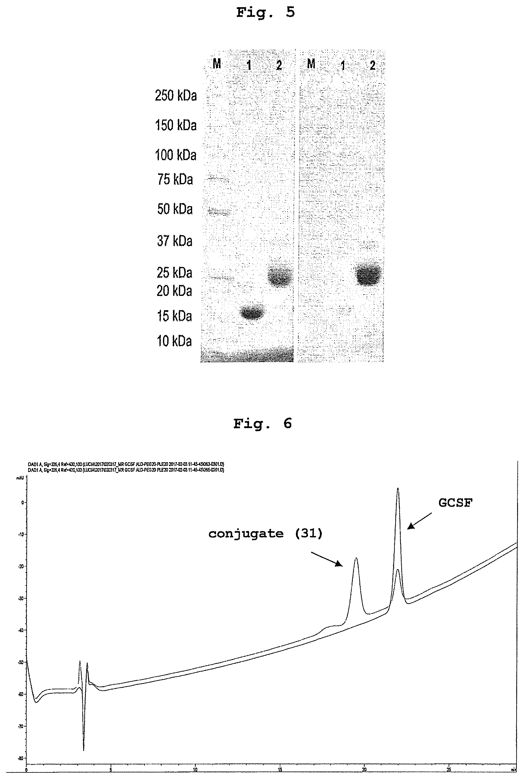 Patent US12448488 Figure 3 – Conjugate of bio-related substance and block polymer, and block polymer derivative for obtaining said conjugate