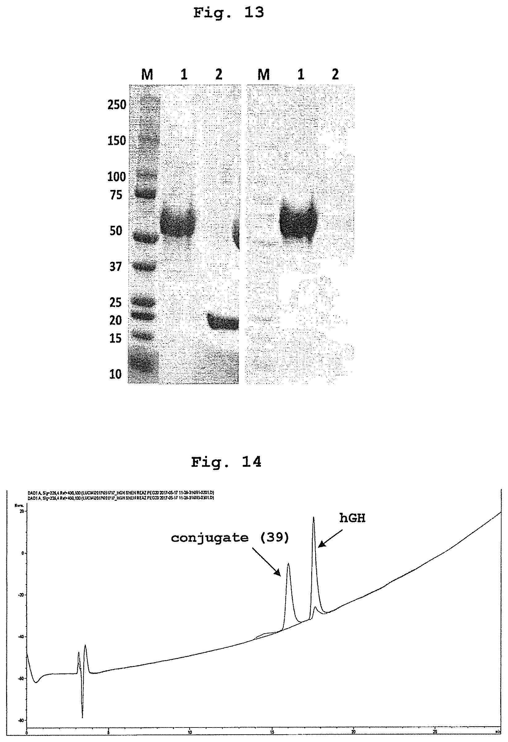 Patent US12448488 Figure 8 – Conjugate of bio-related substance and block polymer, and block polymer derivative for obtaining said conjugate