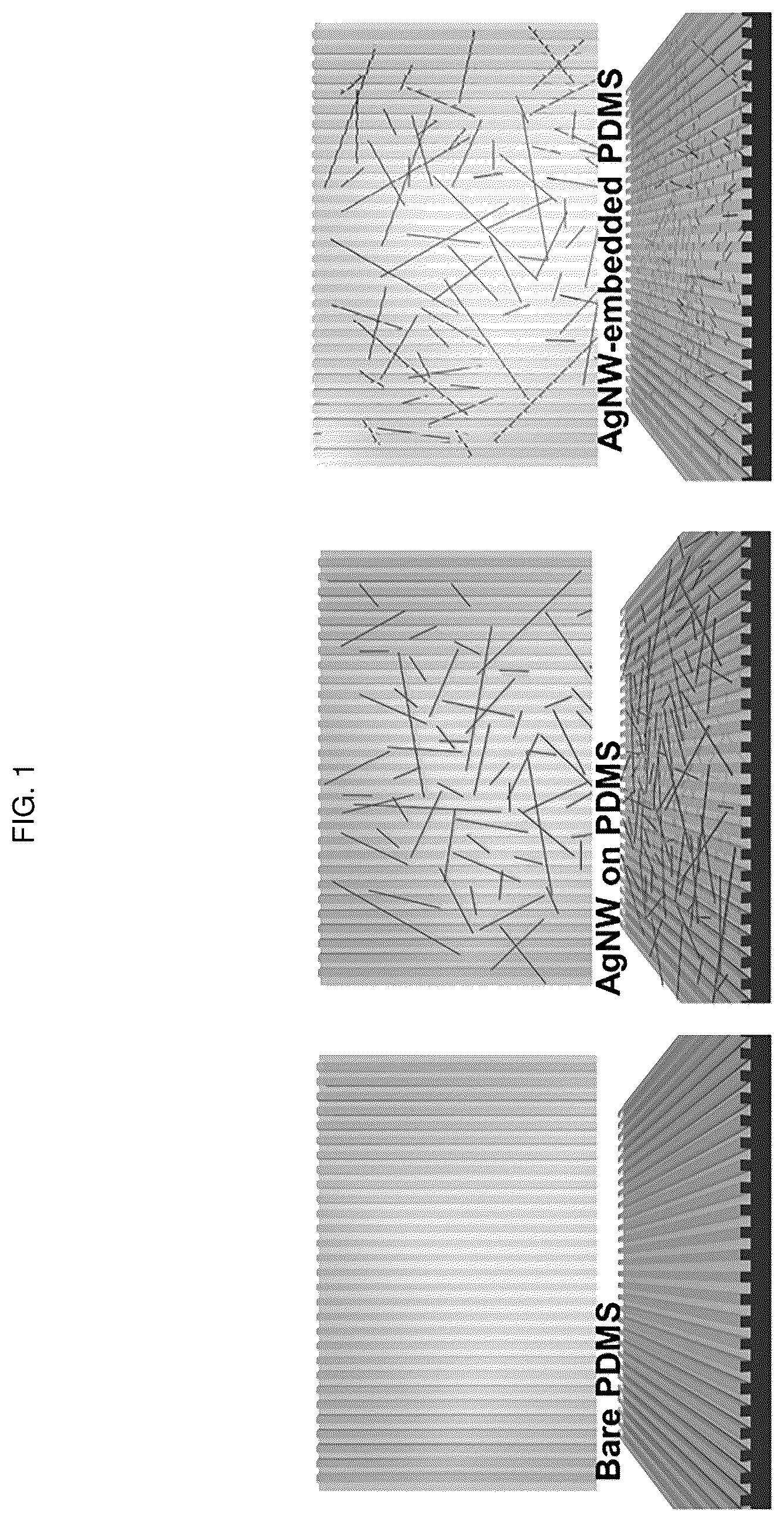 Patent US12448491 Figure 1 – Nano-patterend conductive polymer substrate with improved cell alignment, maturity, adhesion, and connectivity and method for manufacturing same