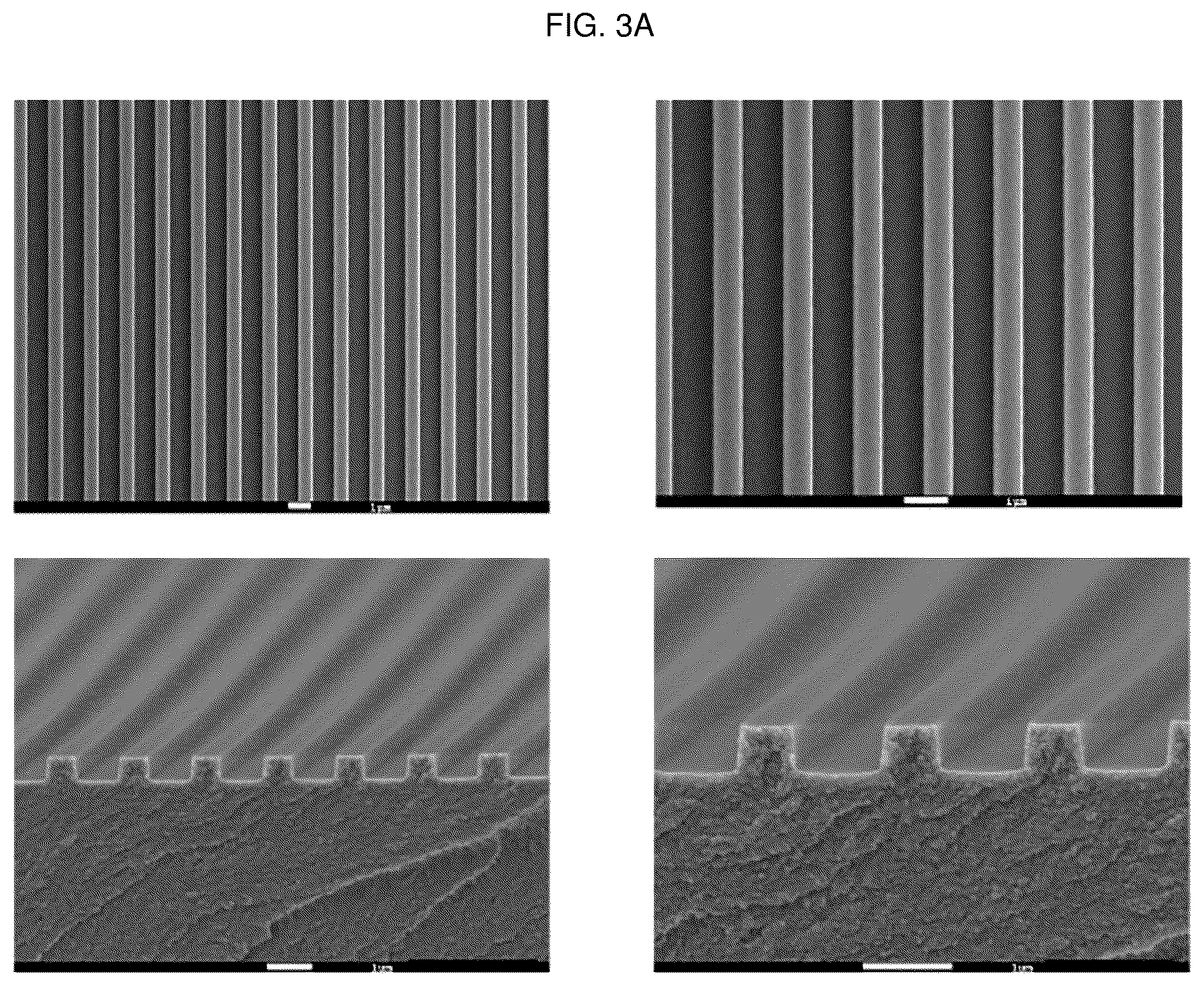 Patent US12448491 Figure 3 – Nano-patterend conductive polymer substrate with improved cell alignment, maturity, adhesion, and connectivity and method for manufacturing same