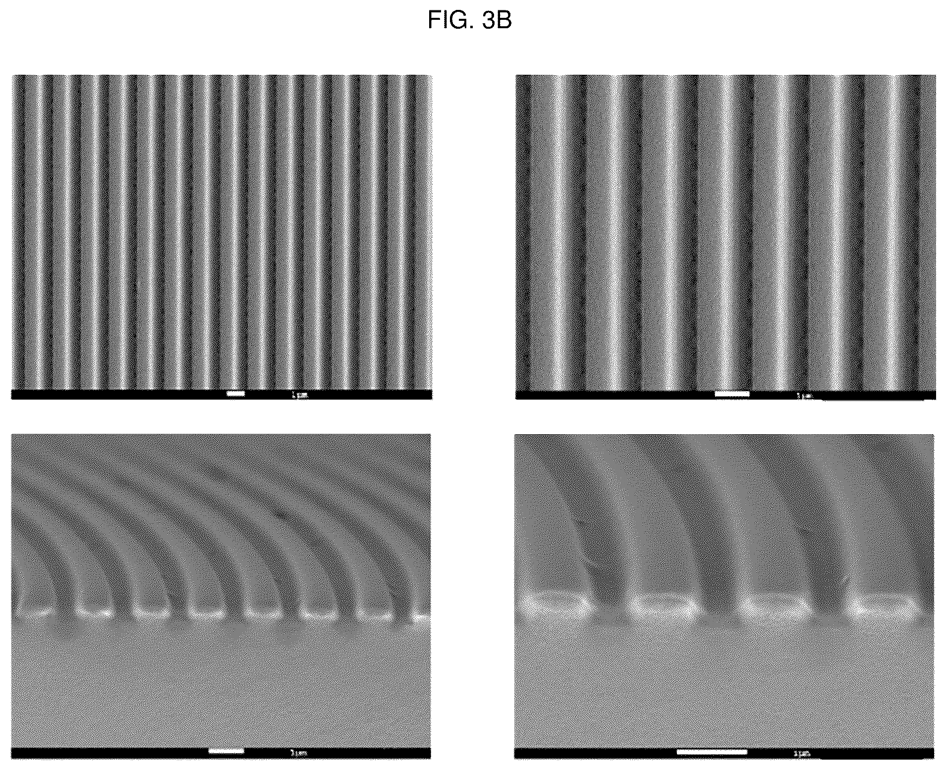Patent US12448491 Figure 4 – Nano-patterend conductive polymer substrate with improved cell alignment, maturity, adhesion, and connectivity and method for manufacturing same