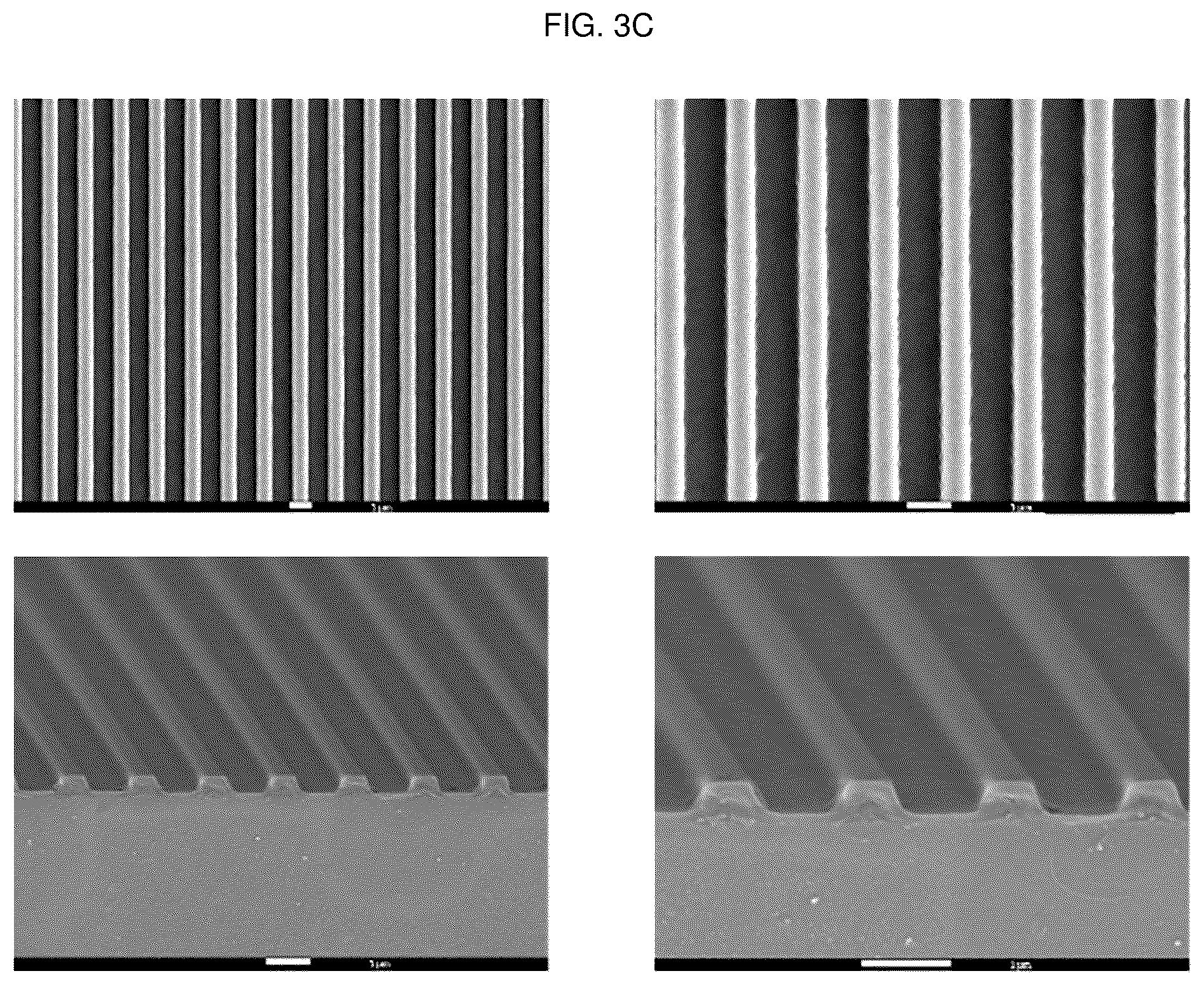 Patent US12448491 Figure 5 – Nano-patterend conductive polymer substrate with improved cell alignment, maturity, adhesion, and connectivity and method for manufacturing same