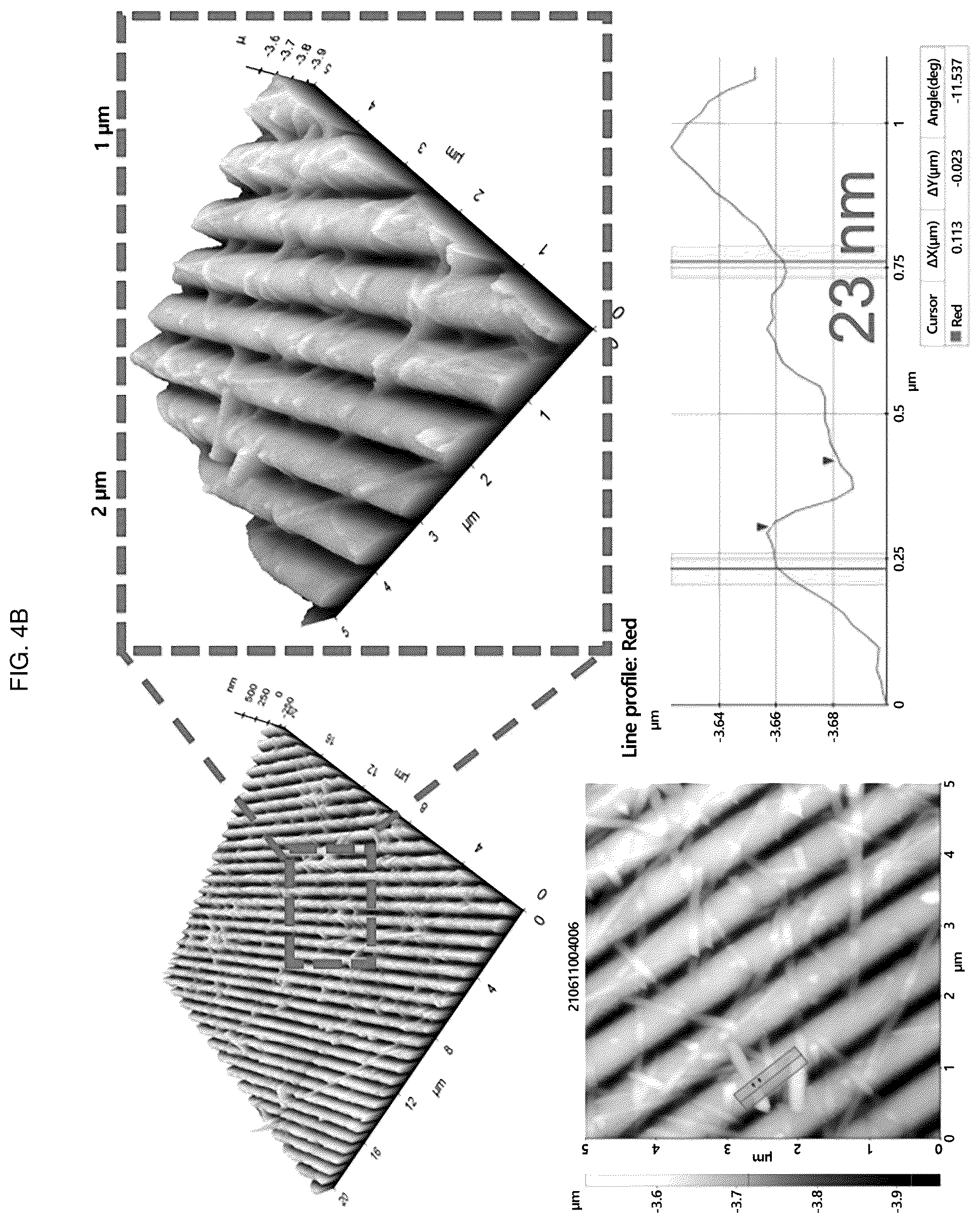 Patent US12448491 Figure 10 – Nano-patterend conductive polymer substrate with improved cell alignment, maturity, adhesion, and connectivity and method for manufacturing same