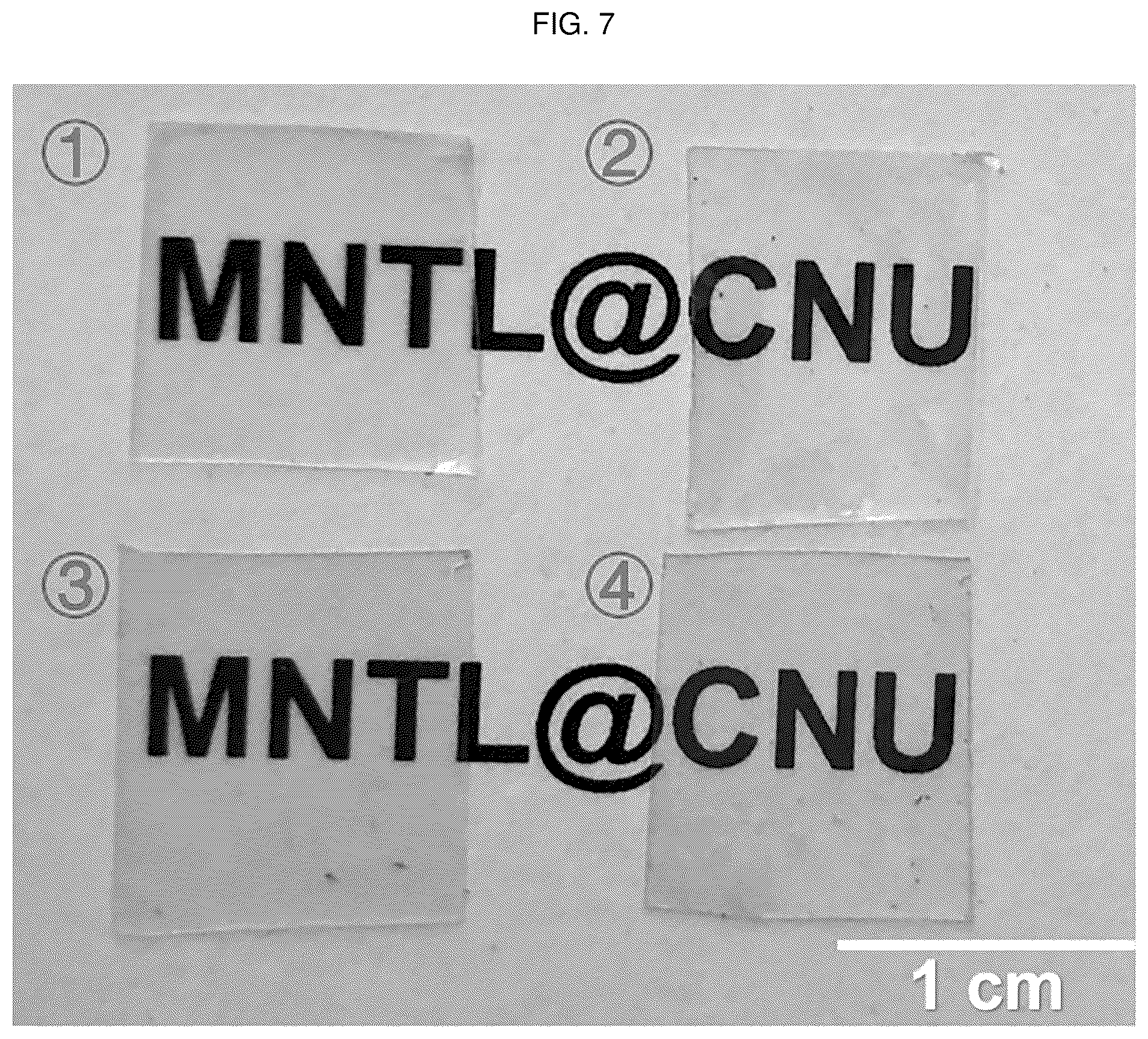 Patent US12448491 Figure 13 – Nano-patterend conductive polymer substrate with improved cell alignment, maturity, adhesion, and connectivity and method for manufacturing same