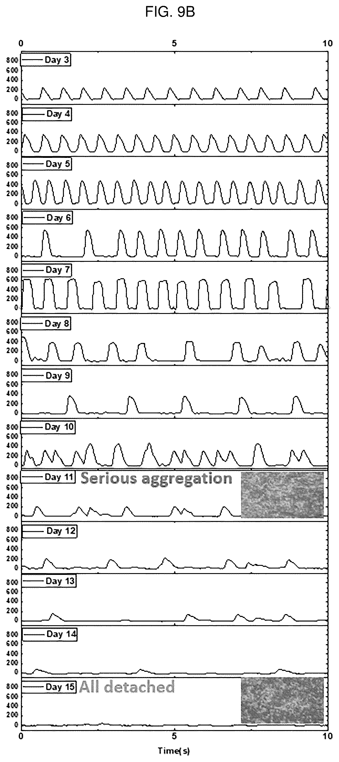 Patent US12448491 Figure 16 – Nano-patterend conductive polymer substrate with improved cell alignment, maturity, adhesion, and connectivity and method for manufacturing same