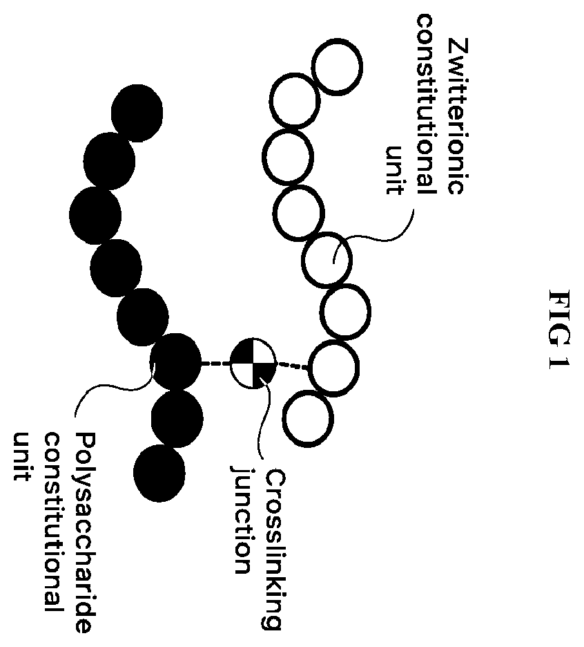 Patent US12448498 Figure 1 – Hydrogel compositions based on polysaccharides and zwitterionic polymers, and methods for their use