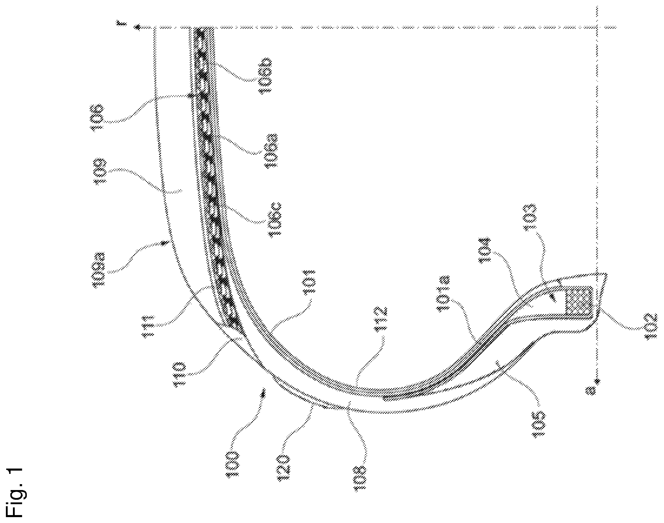 Patent US12448499 Figure 1 – Tyre for vehicle wheels