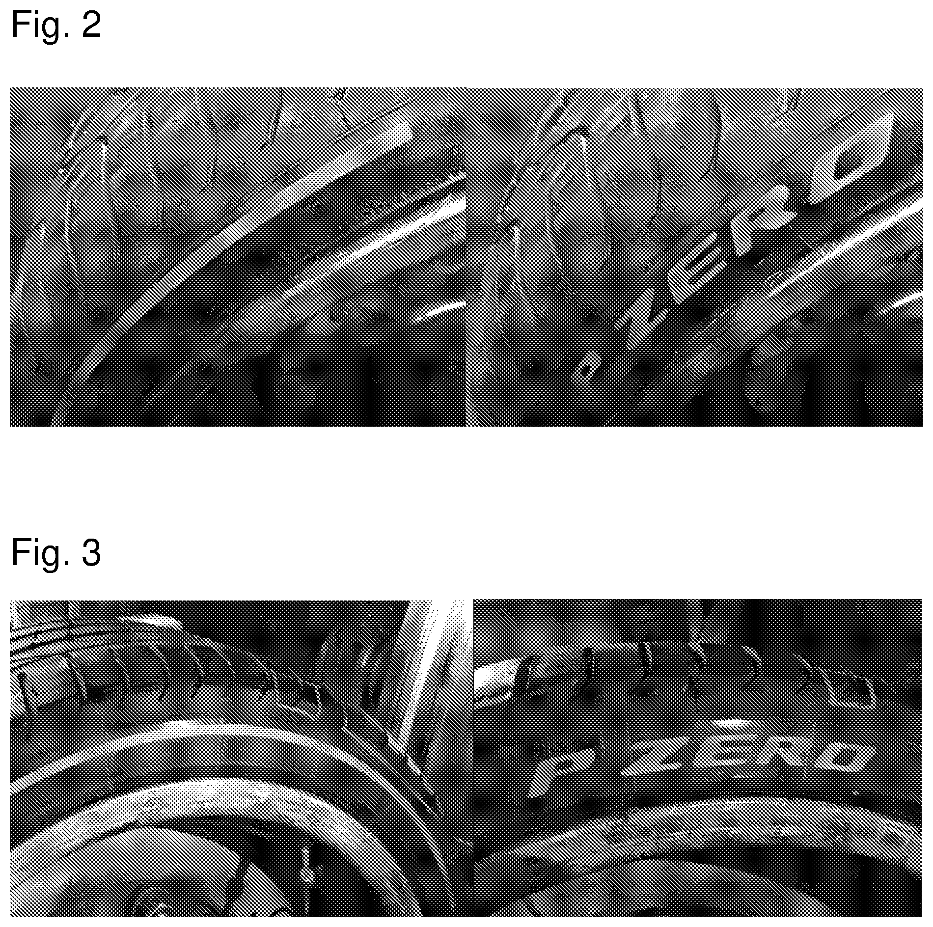 Patent US12448499 Figure 2 – Tyre for vehicle wheels