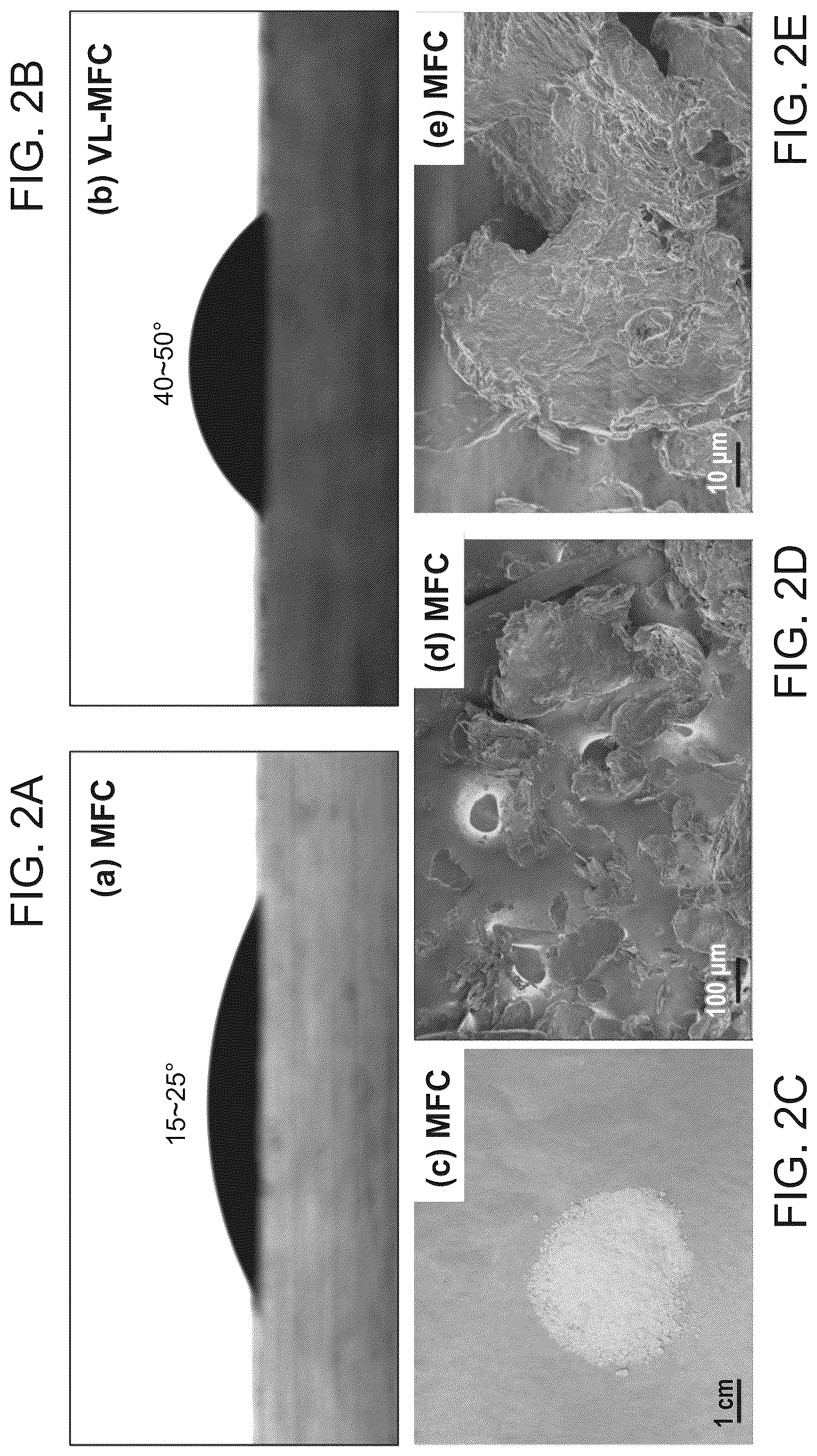 Patent US12448512 Figure 3 – Surface-modified and dried microfibrillated cellulose reinforced thermoplastic biocomposites