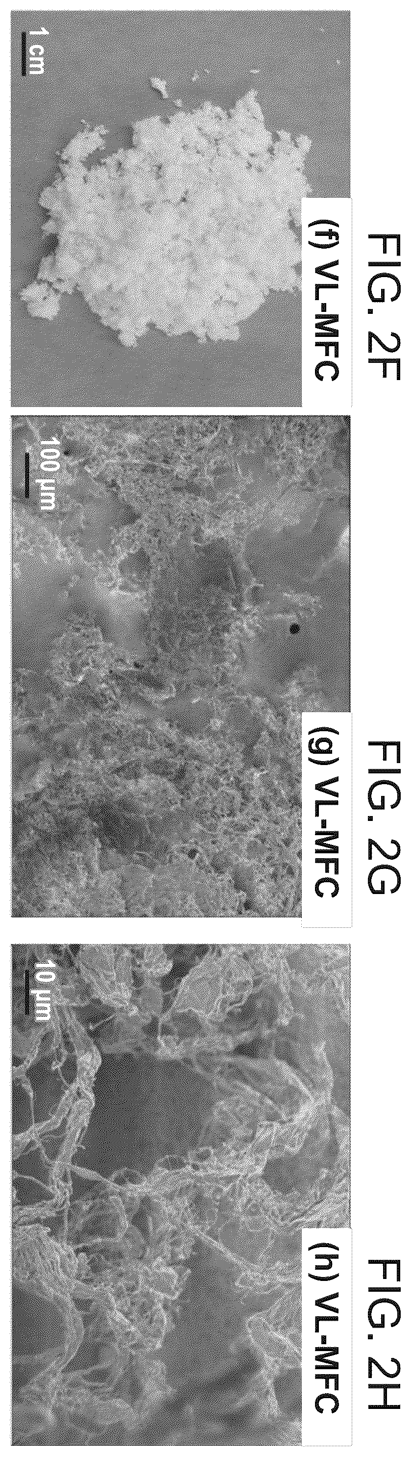 Patent US12448512 Figure 4 – Surface-modified and dried microfibrillated cellulose reinforced thermoplastic biocomposites