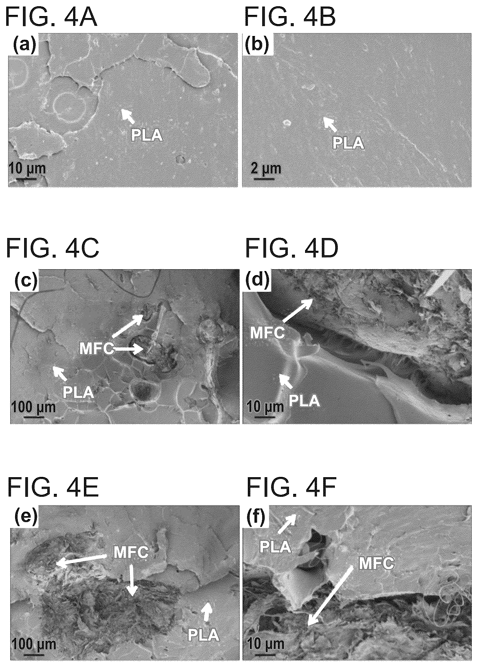 Patent US12448512 Figure 6 – Surface-modified and dried microfibrillated cellulose reinforced thermoplastic biocomposites