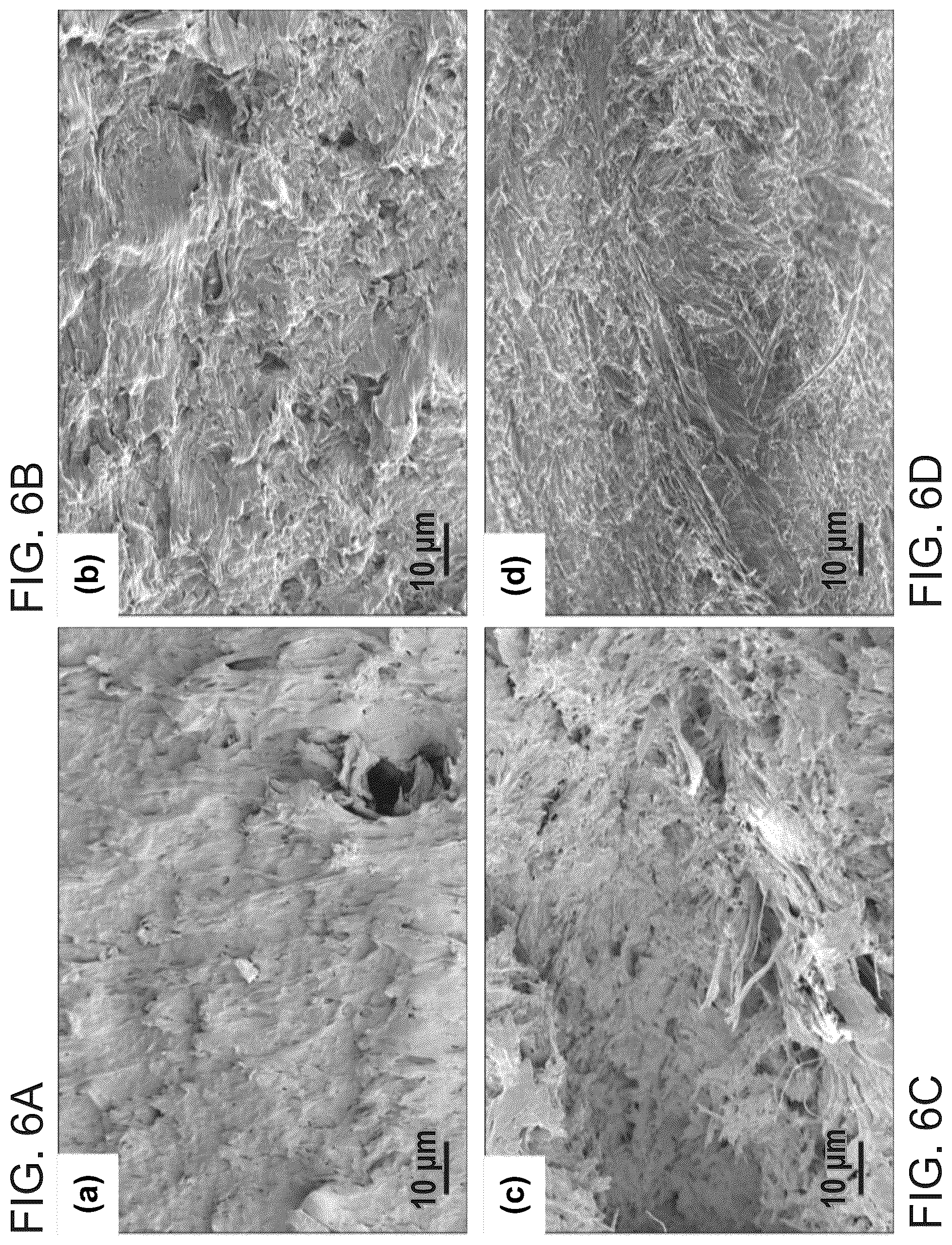 Patent US12448512 Figure 10 – Surface-modified and dried microfibrillated cellulose reinforced thermoplastic biocomposites