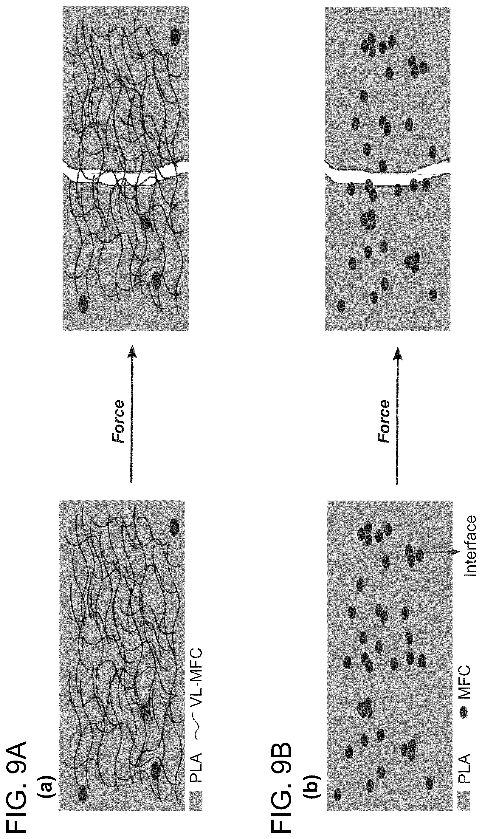Patent US12448512 Figure 17 – Surface-modified and dried microfibrillated cellulose reinforced thermoplastic biocomposites