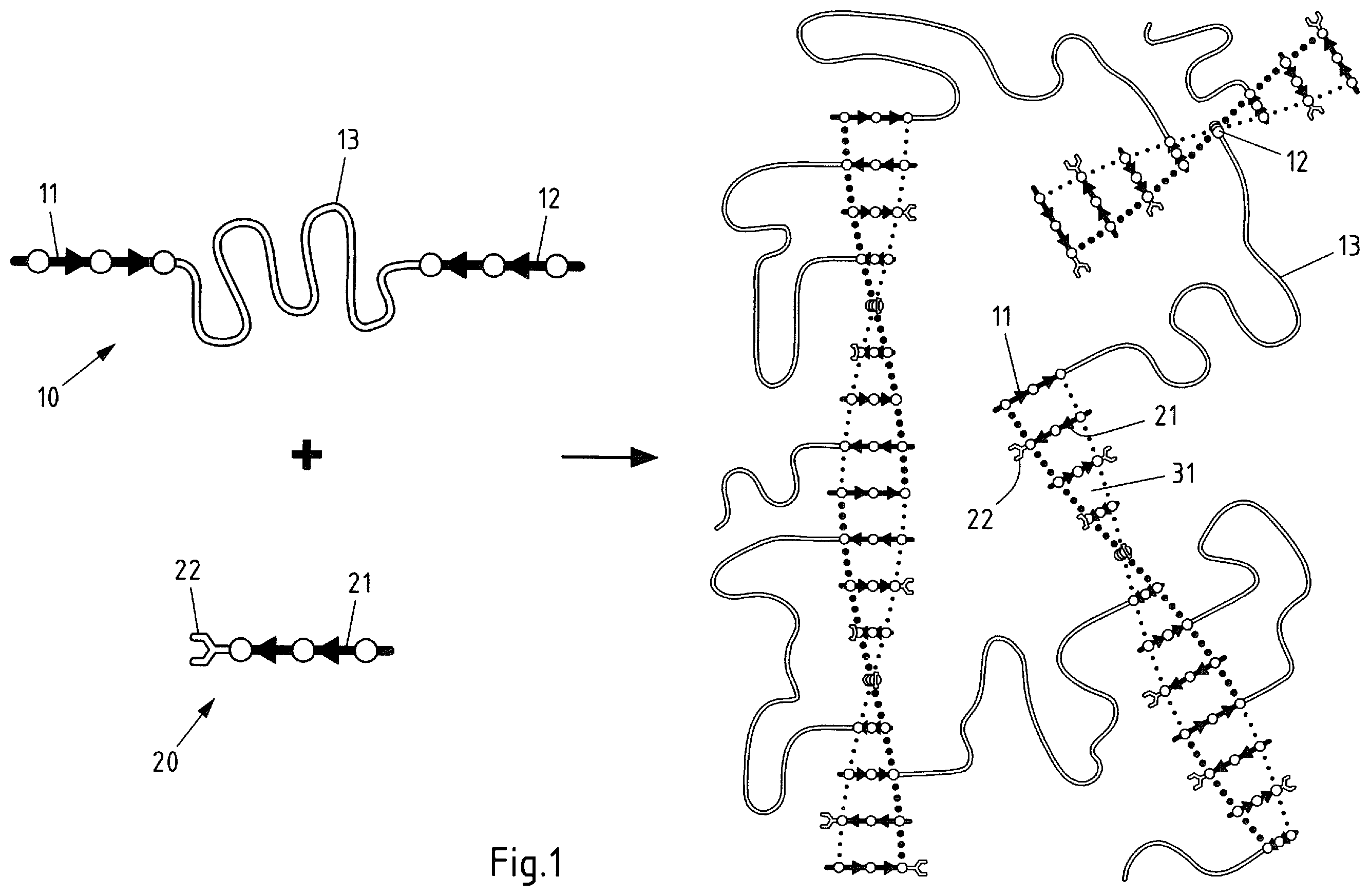 Patent US12448513 — Composition and method for the preparation of sheets, films, fibers, and molded parts — Figure 1