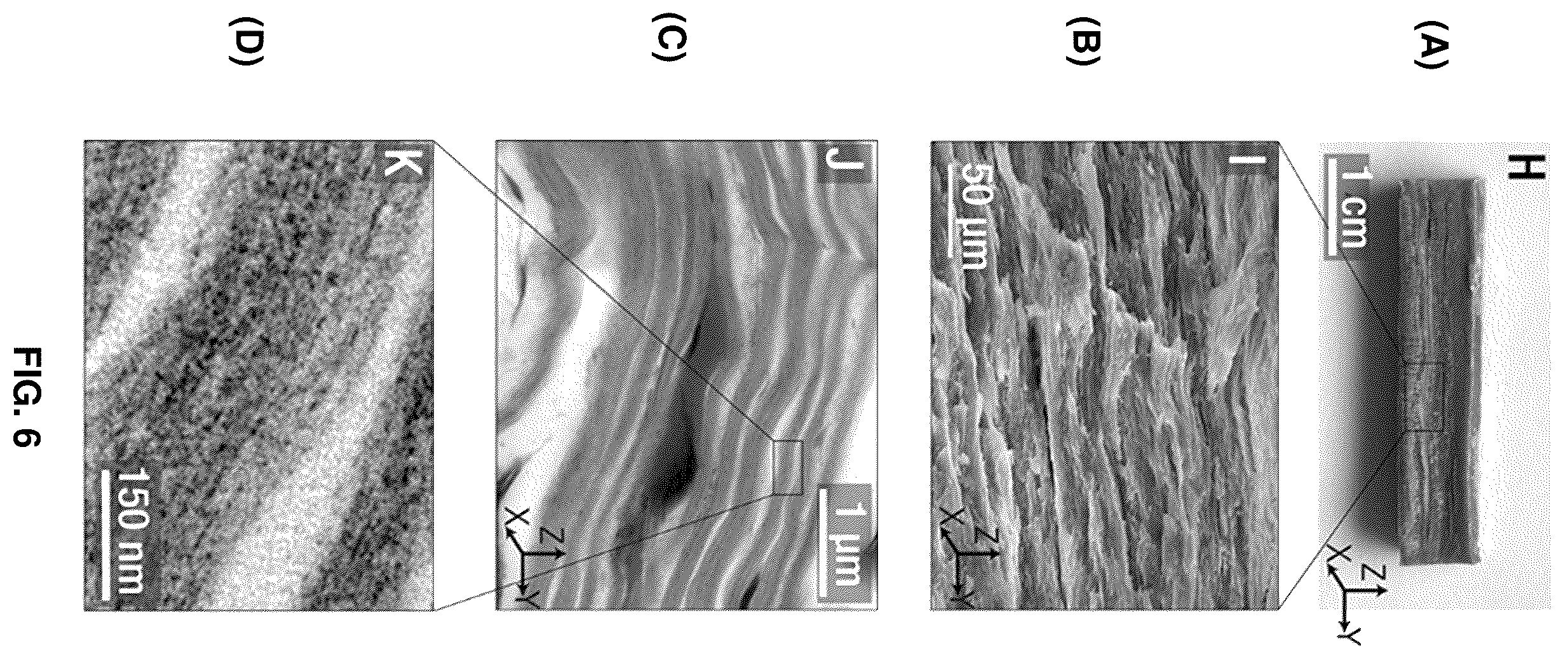 Patent US12448517 Figure 6 – Biocomposite materials and related compositions, methods and systems