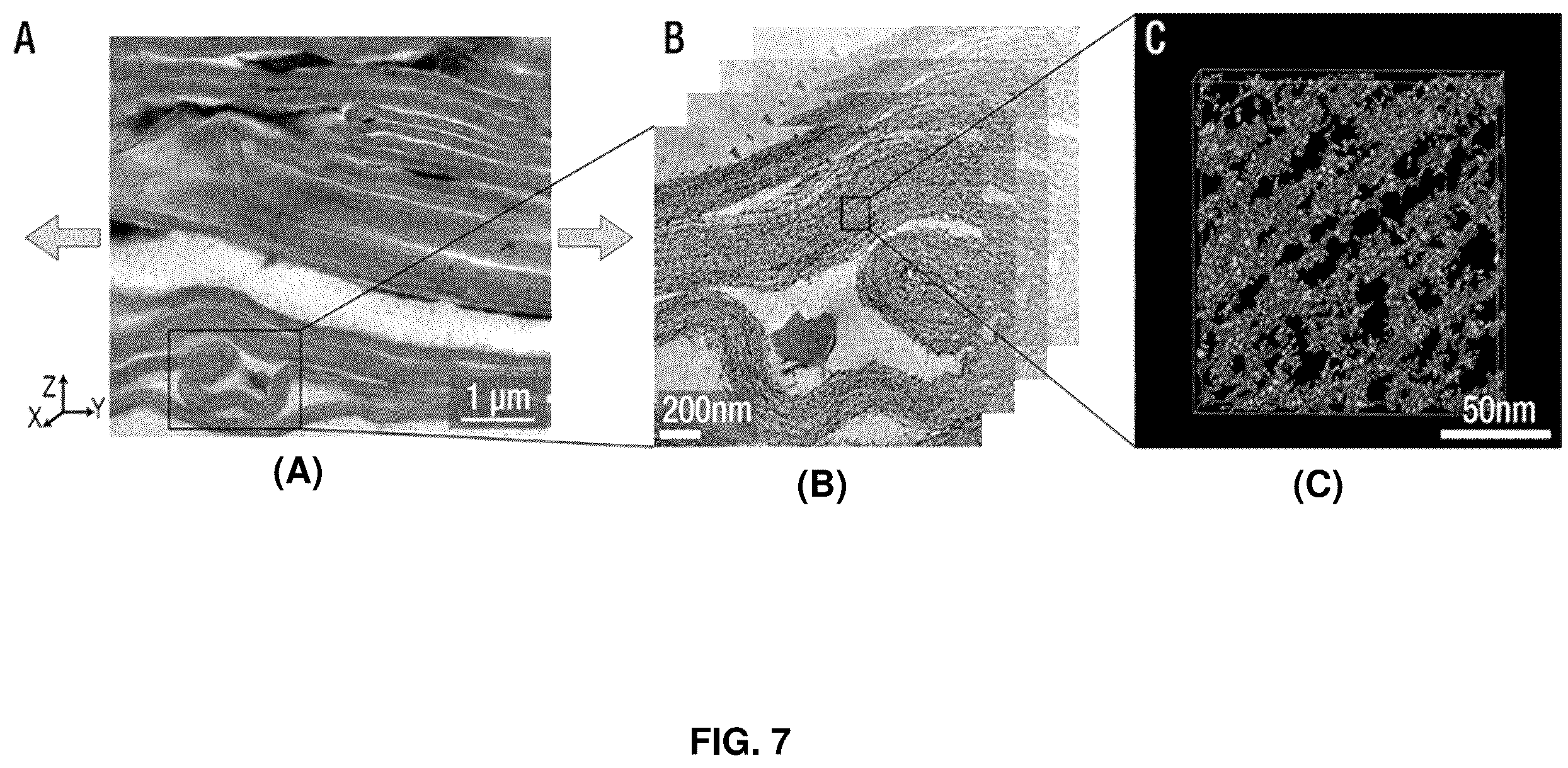 Patent US12448517 Figure 7 – Biocomposite materials and related compositions, methods and systems