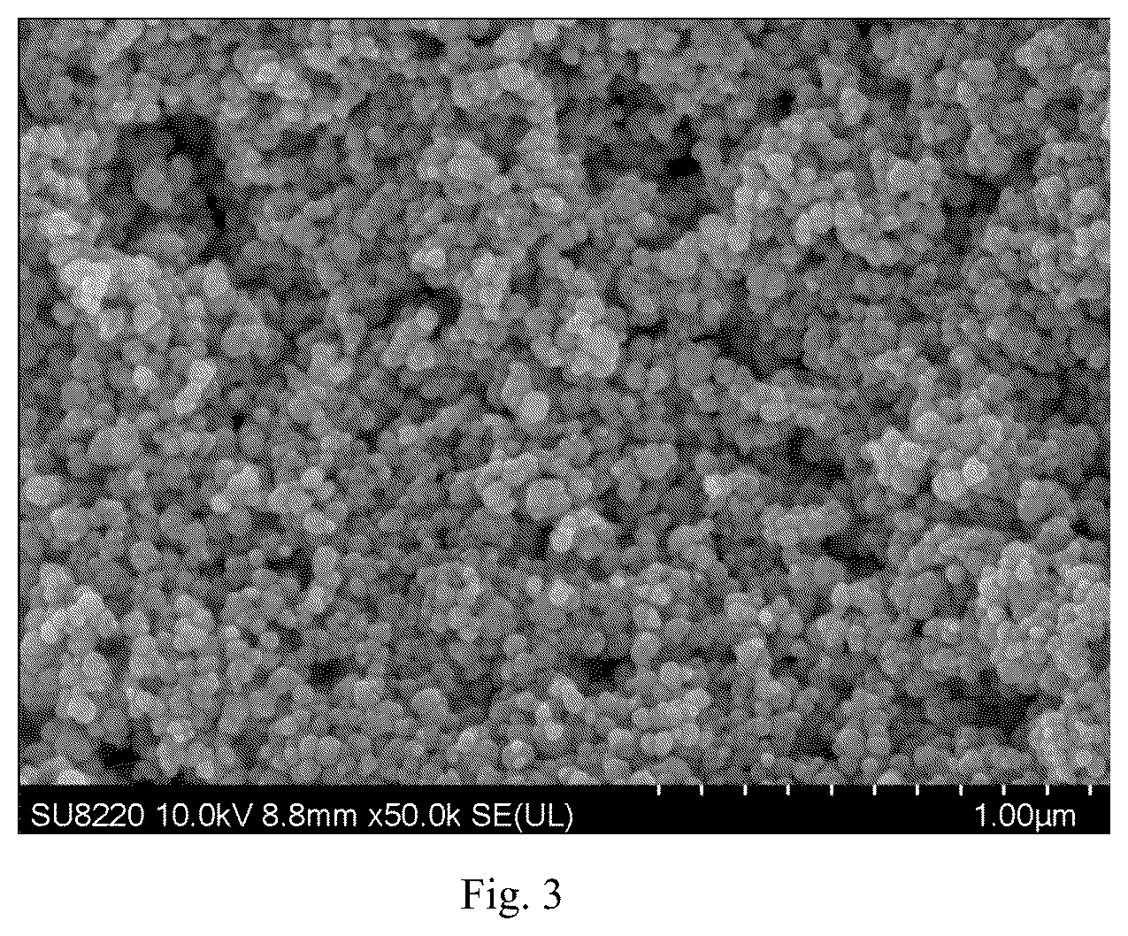 Patent US12448536 Figure 3 – Nano metal paste, and preparation and application thereof