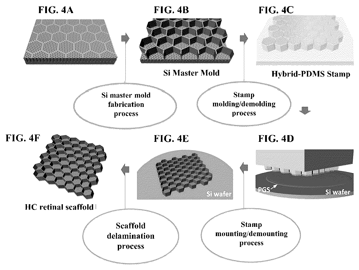 Patent US12448595 Figure 4 – Mechanically stable and high cell density honeycomb retinal scaffold design for transplantation therapy of photoreceptor cells and retinal pigment epithelium