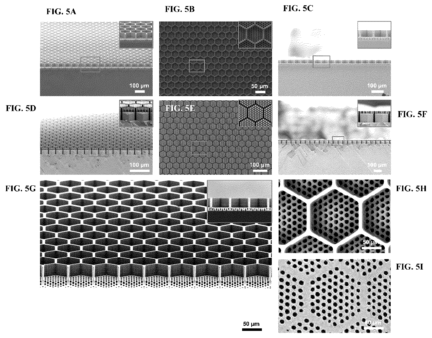 Patent US12448595 Figure 5 – Mechanically stable and high cell density honeycomb retinal scaffold design for transplantation therapy of photoreceptor cells and retinal pigment epithelium